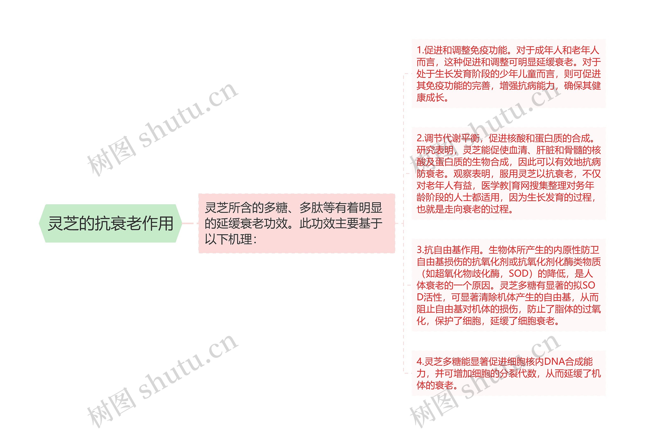 灵芝的抗衰老作用 灵芝的抗衰老作用