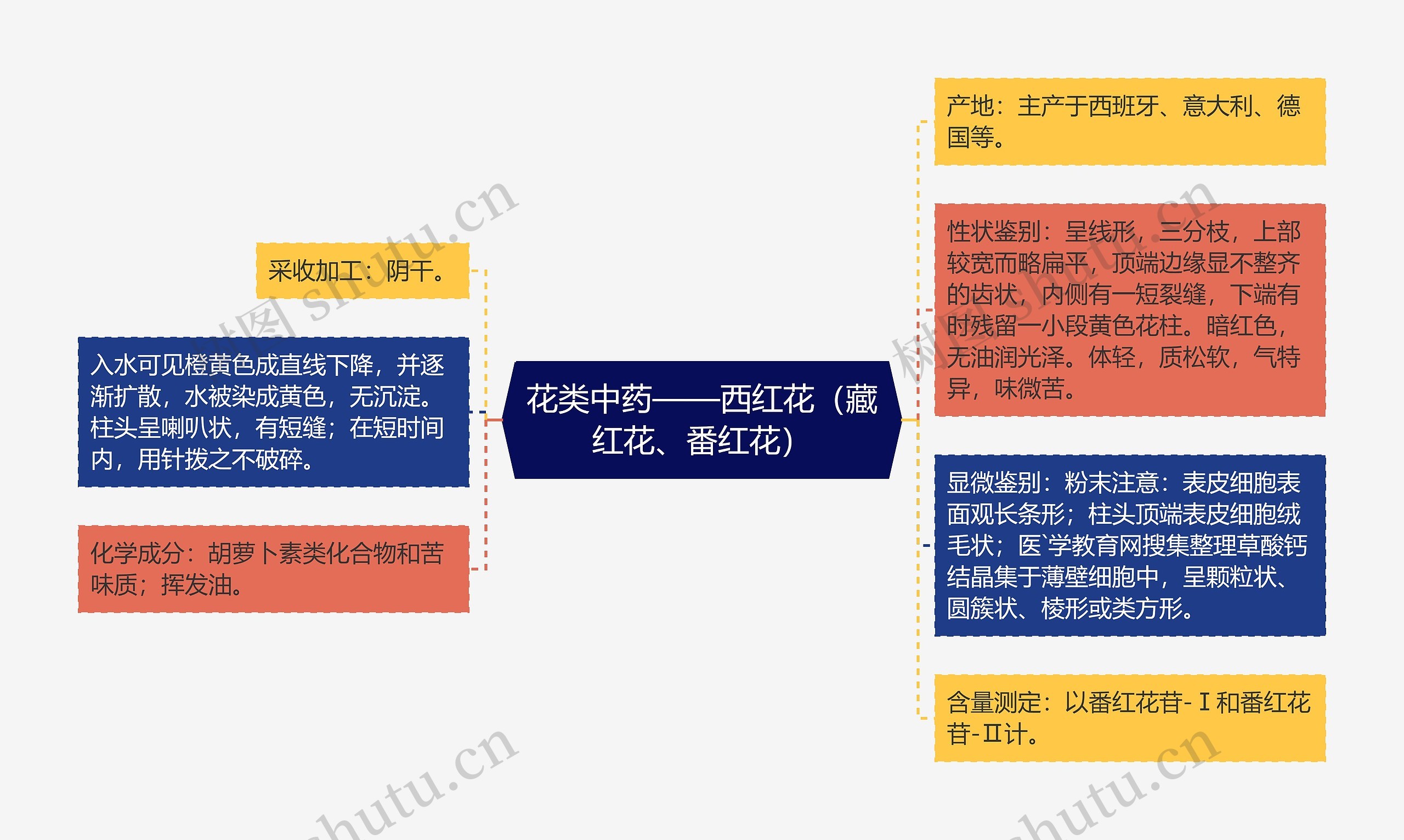 花类中药——西红花（藏红花、番红花）思维导图