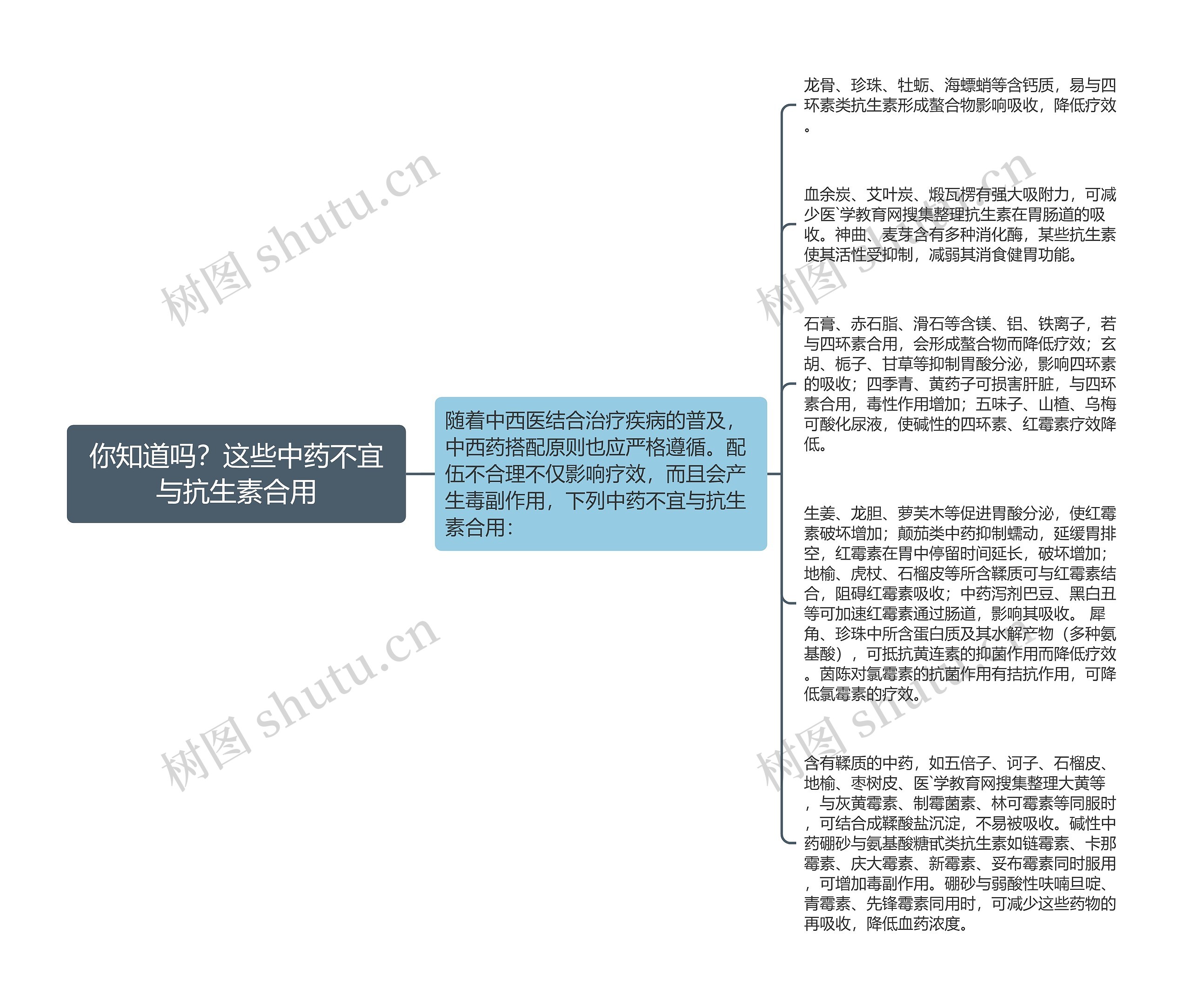 你知道吗？这些中药不宜与抗生素合用思维导图