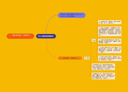 灯心草的炮制知识思维导图