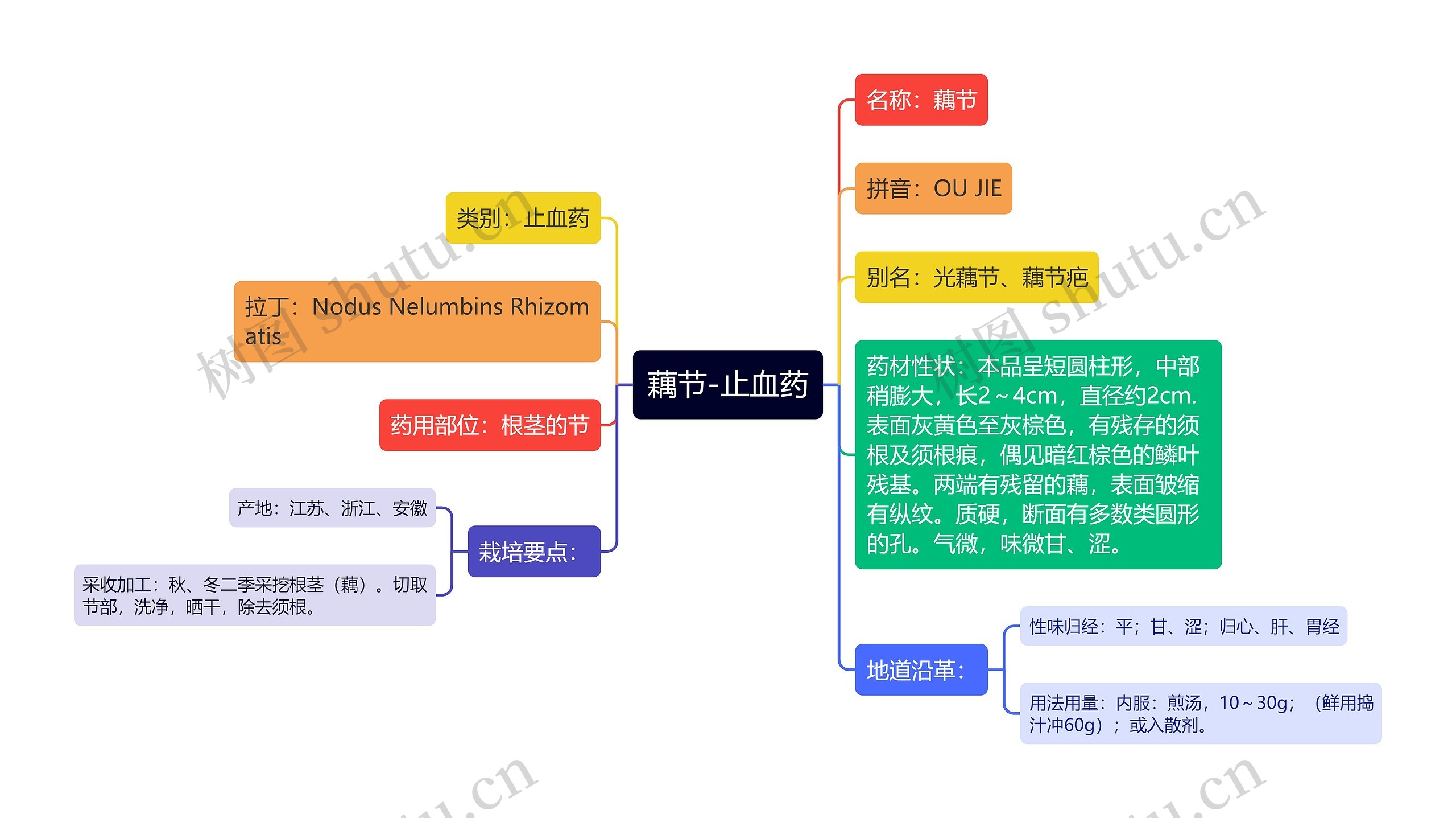 藕节-止血药思维导图