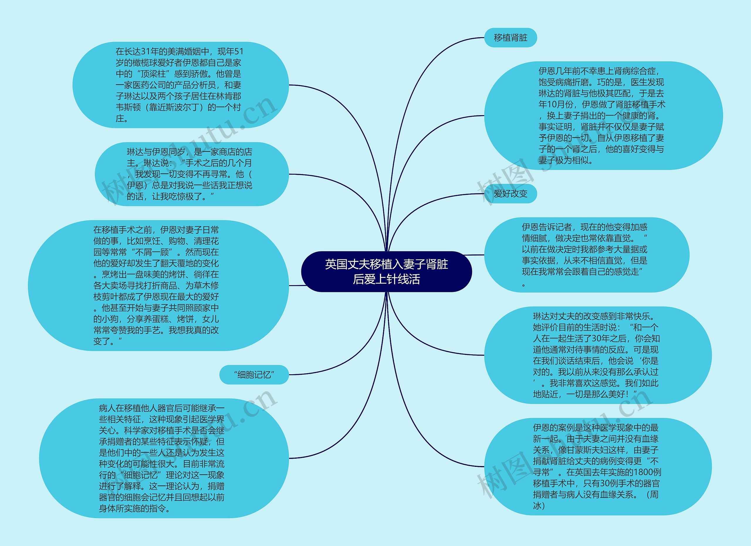 英国丈夫移植入妻子肾脏后爱上针线活思维导图