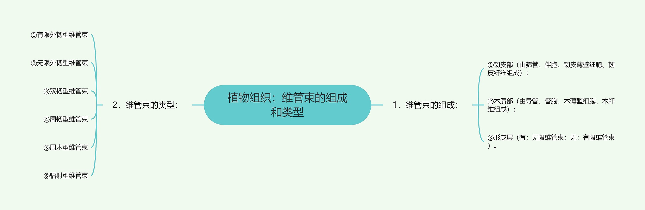 植物组织：维管束的组成和类型思维导图