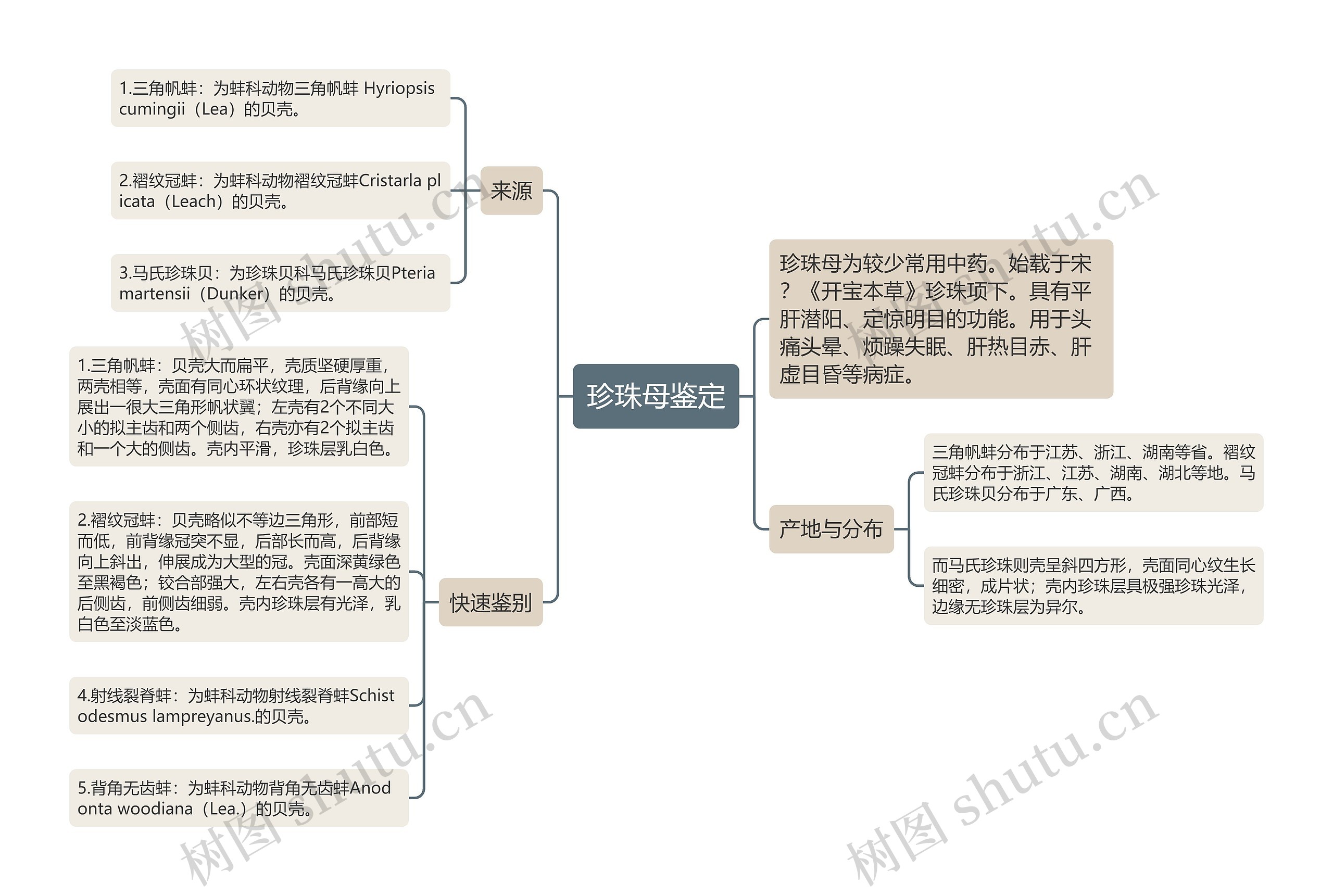 珍珠母鉴定思维导图