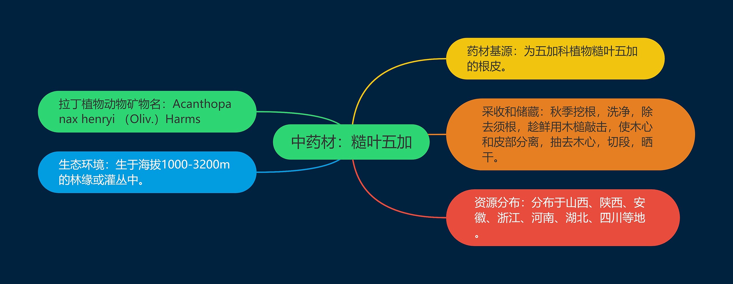 中药材：糙叶五加思维导图