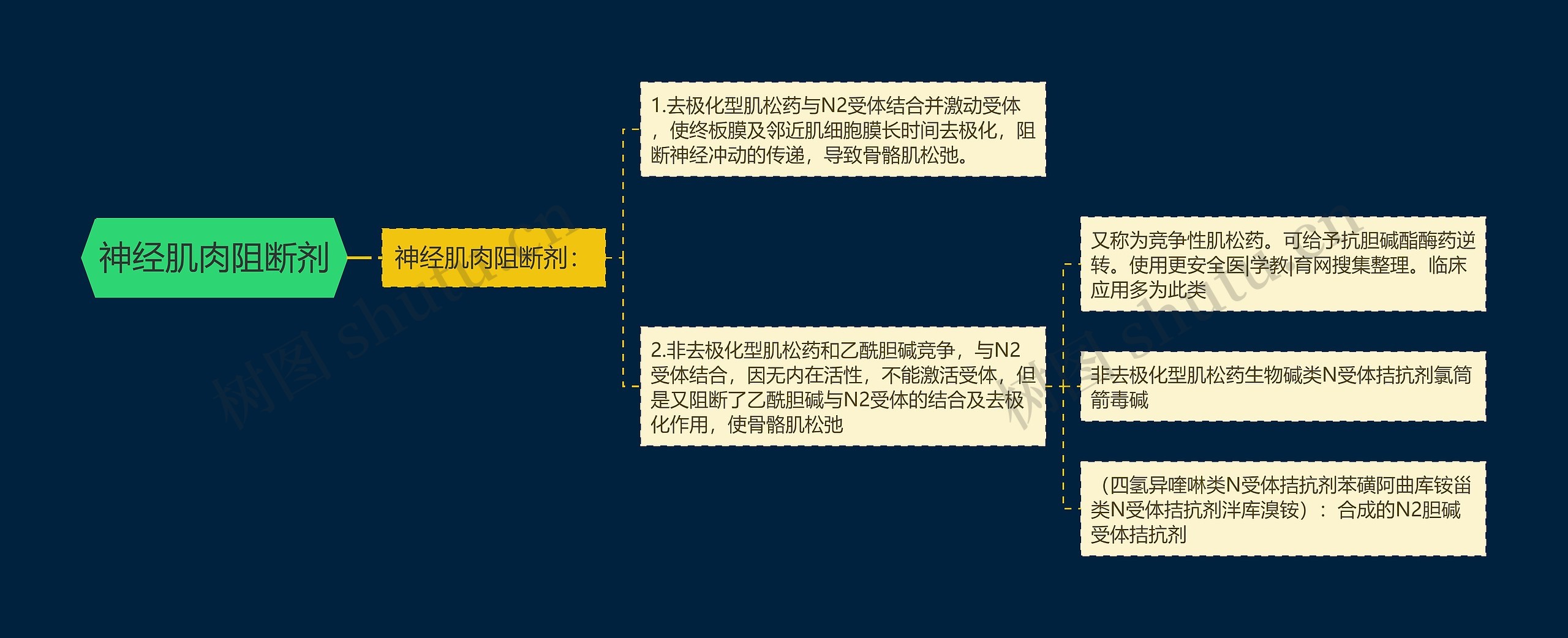 神经肌肉阻断剂思维导图