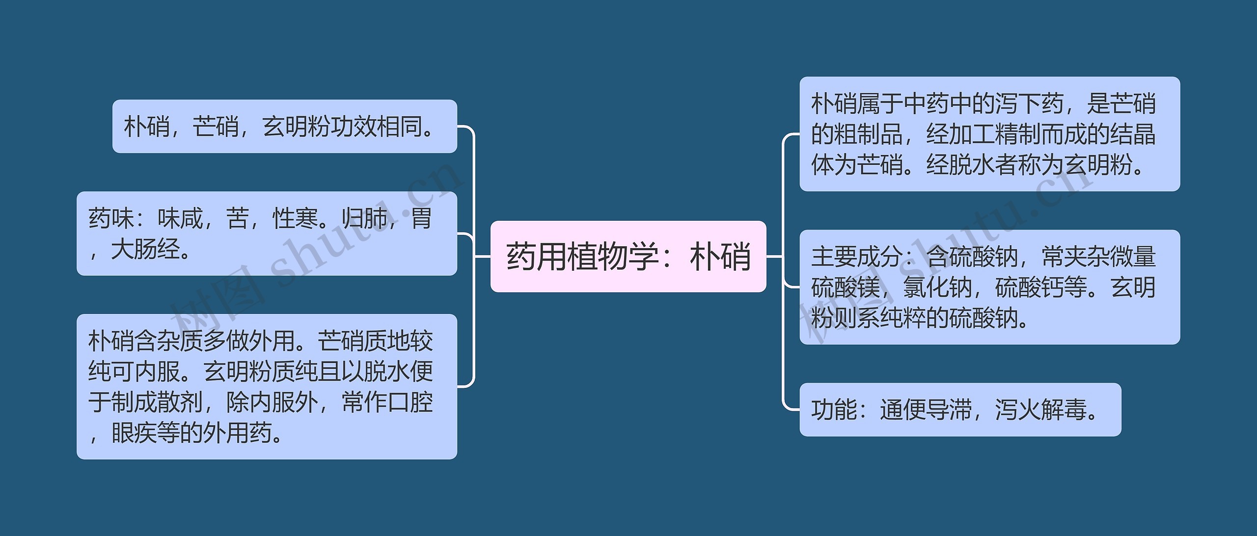 药用植物学：朴硝思维导图