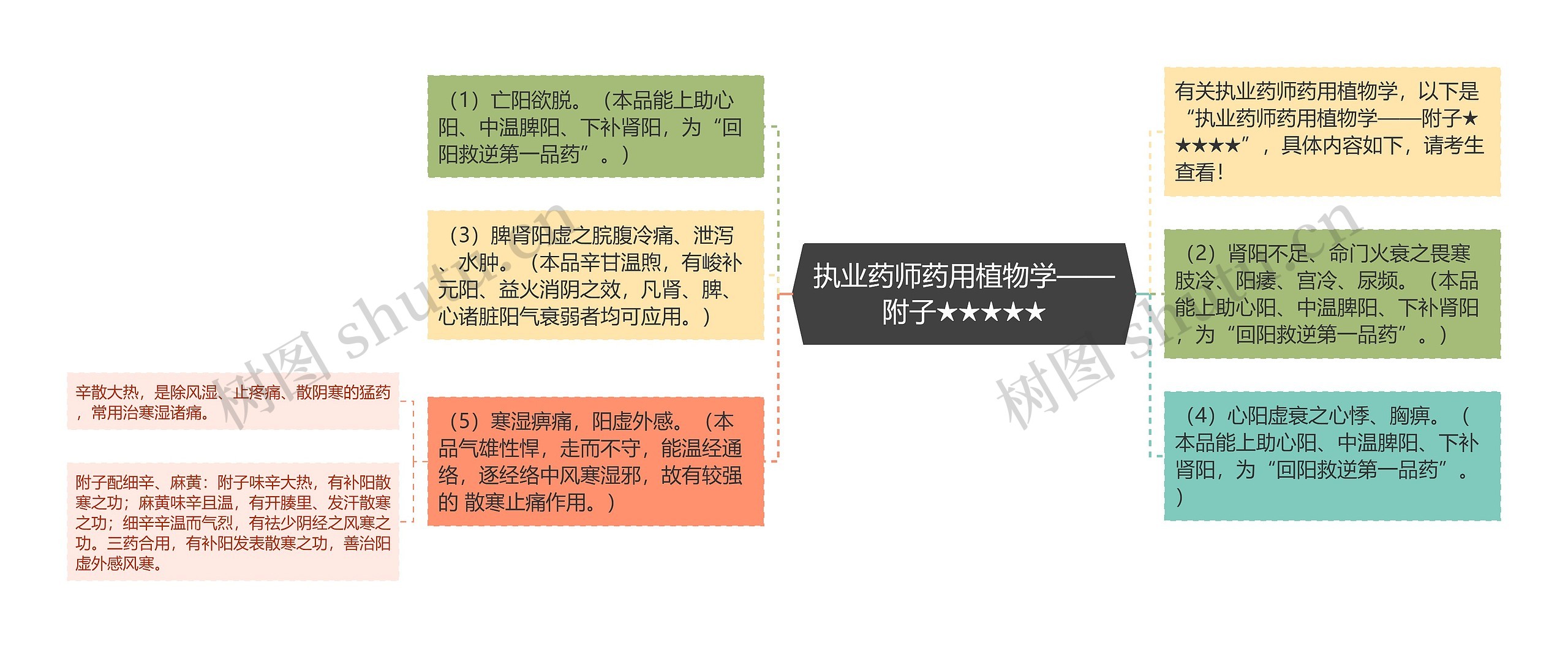 执业药师药用植物学——附子★★★★★