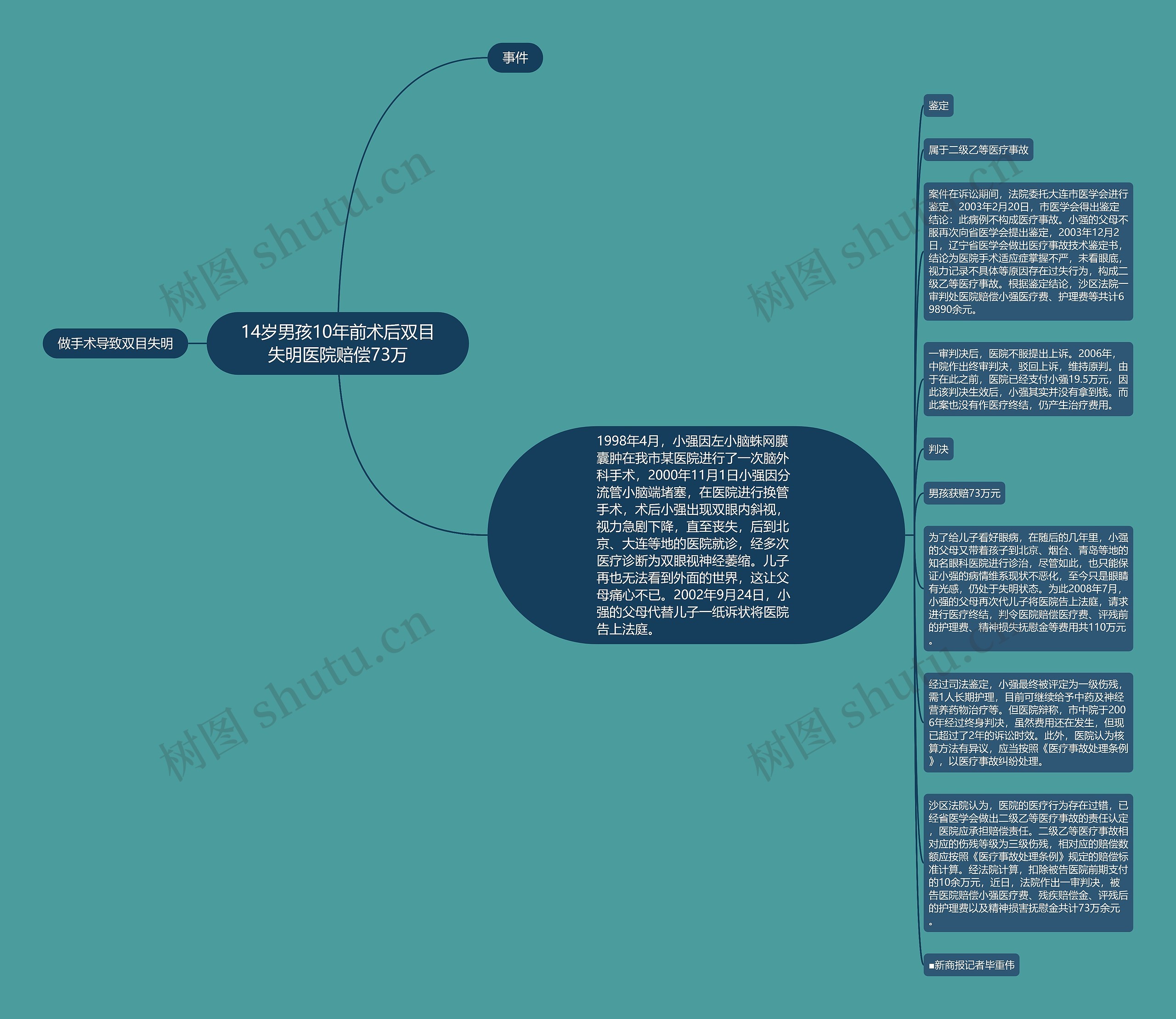 14岁男孩10年前术后双目失明医院赔偿73万思维导图