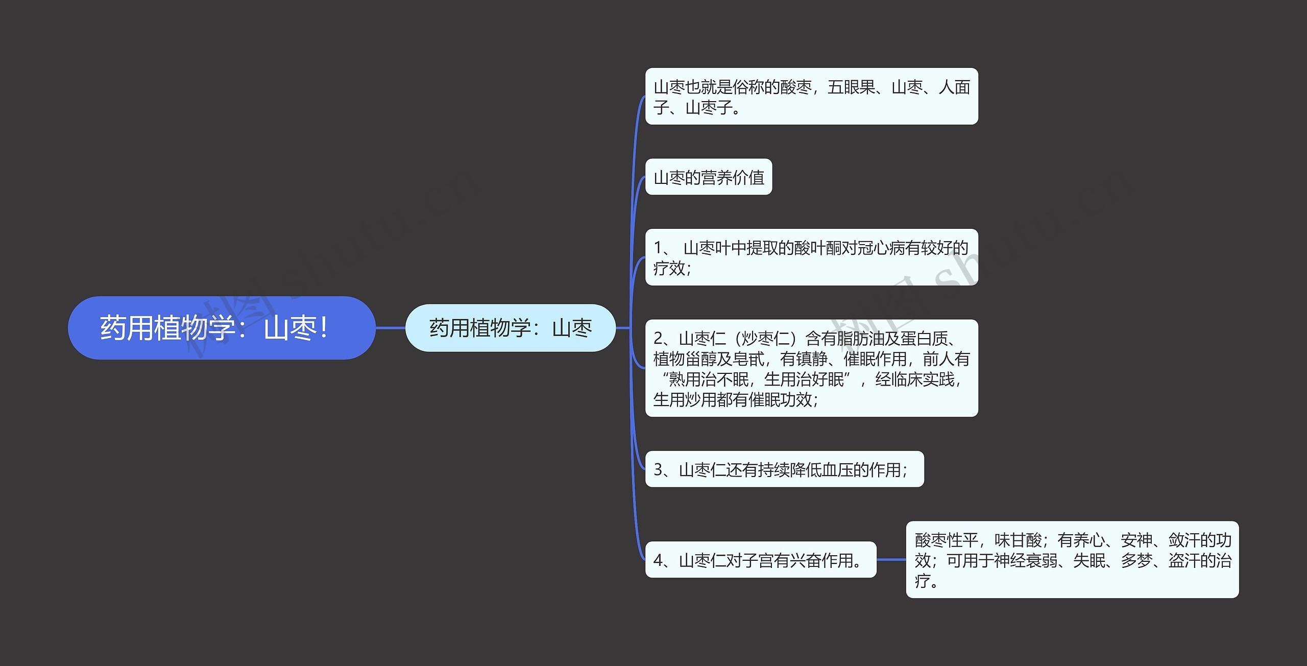 药用植物学：山枣！