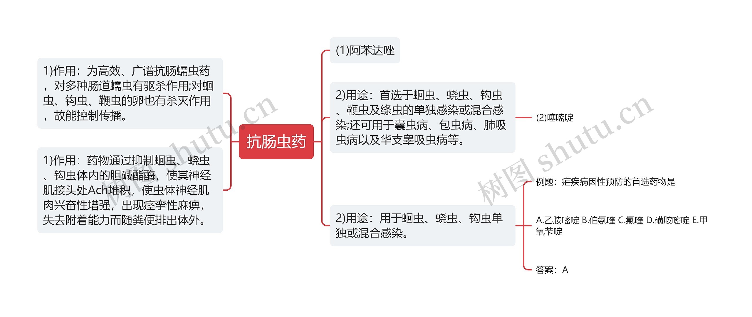 抗肠虫药思维导图