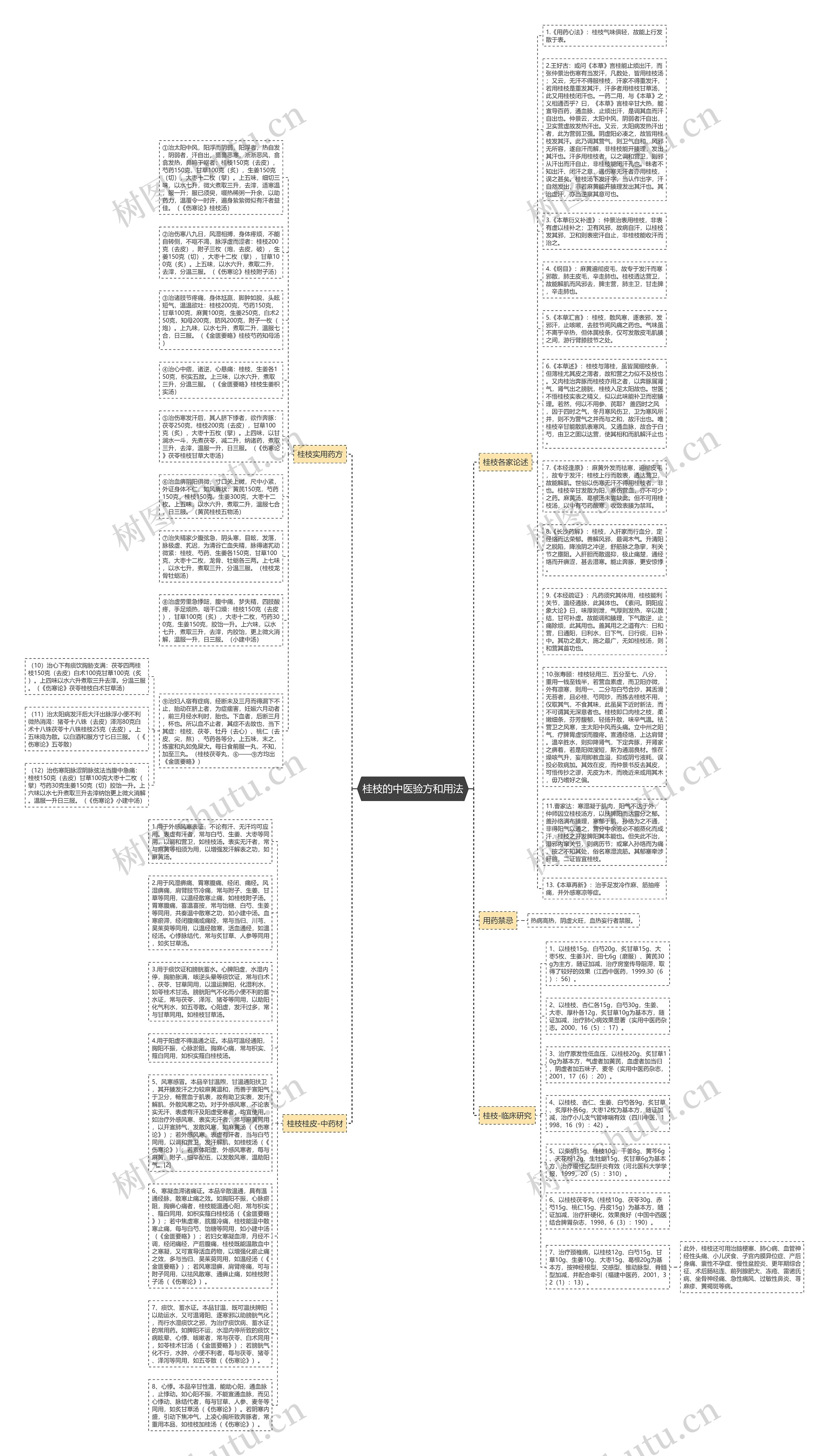 桂枝的中医验方和用法思维导图