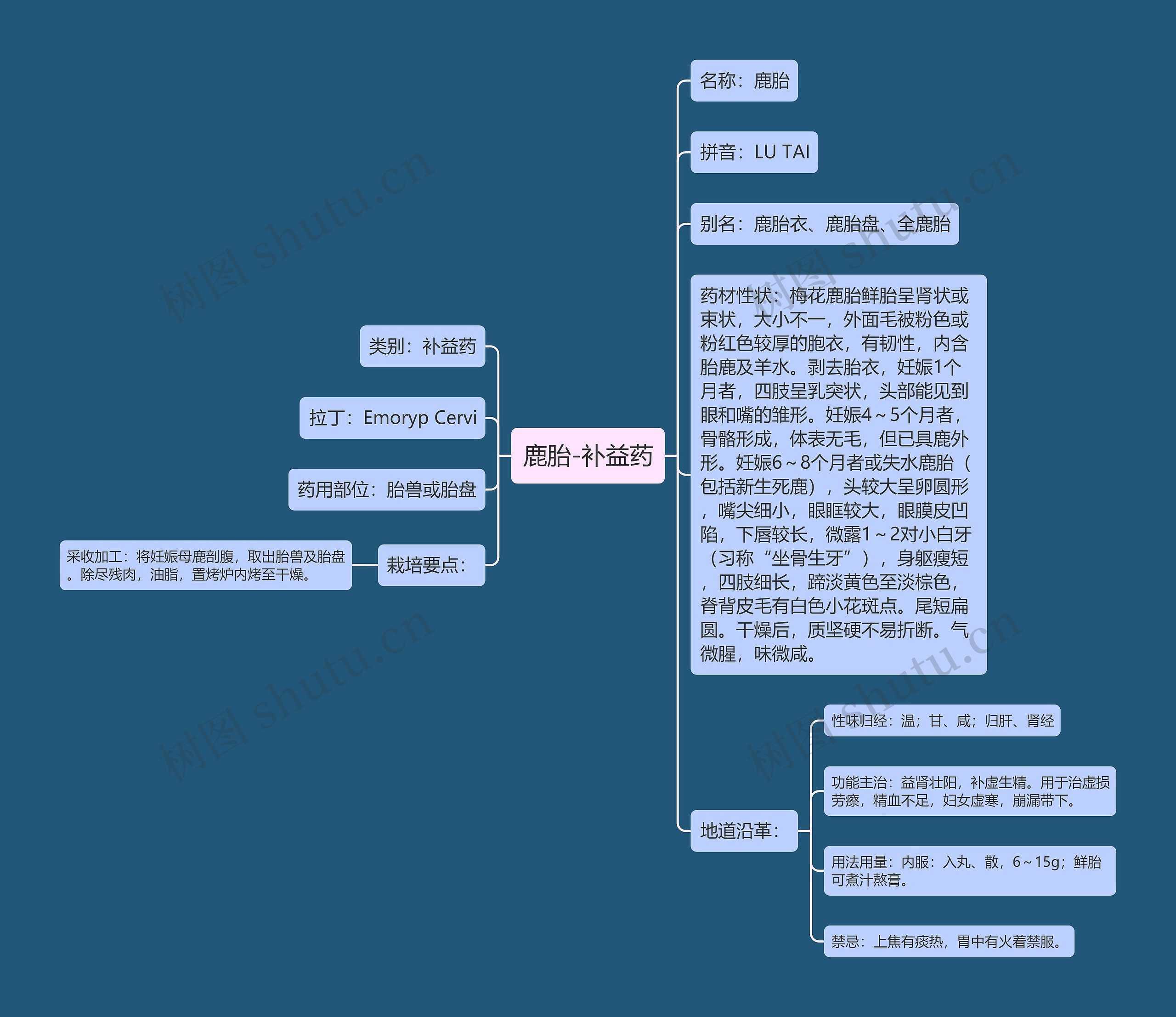 鹿胎-补益药思维导图