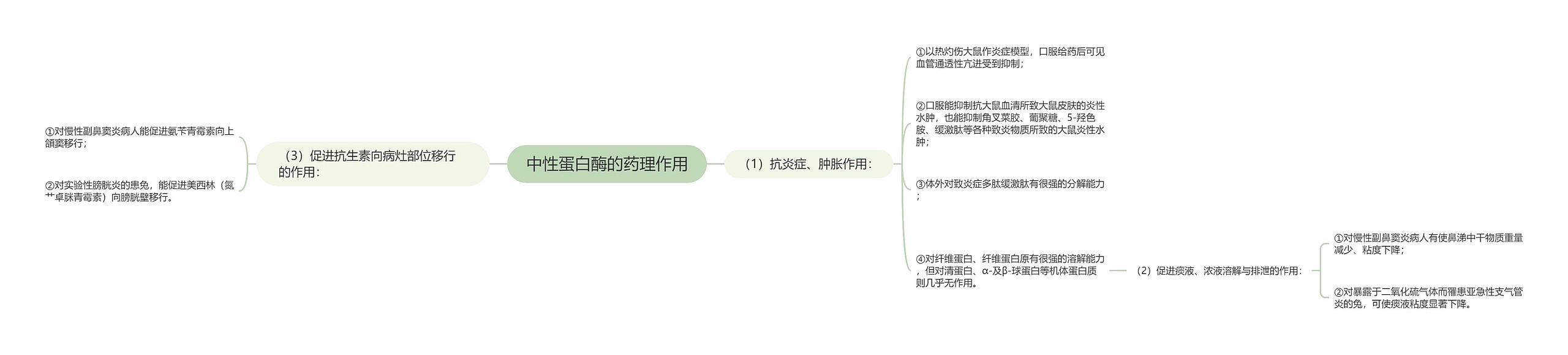 中性蛋白酶的药理作用