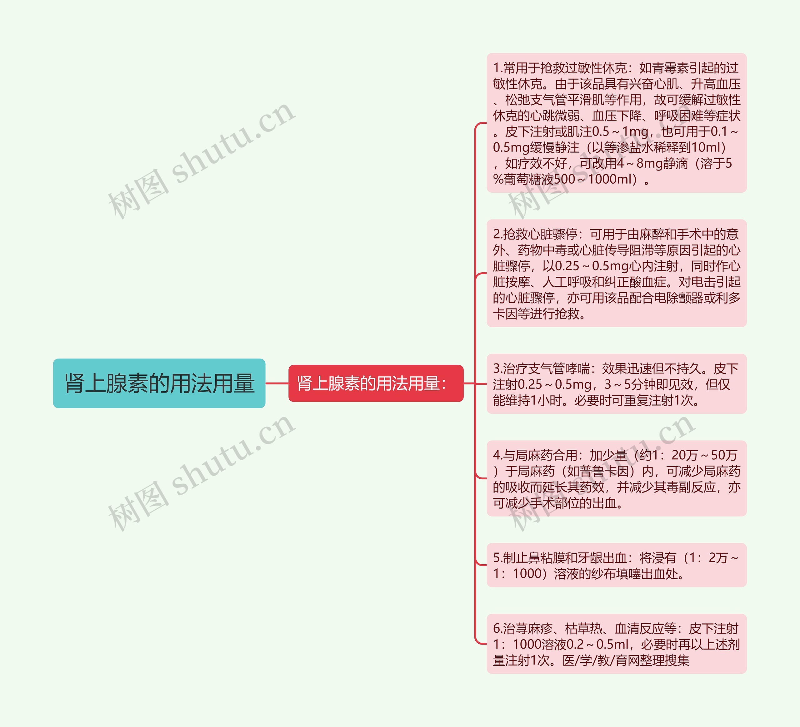 肾上腺素的用法用量