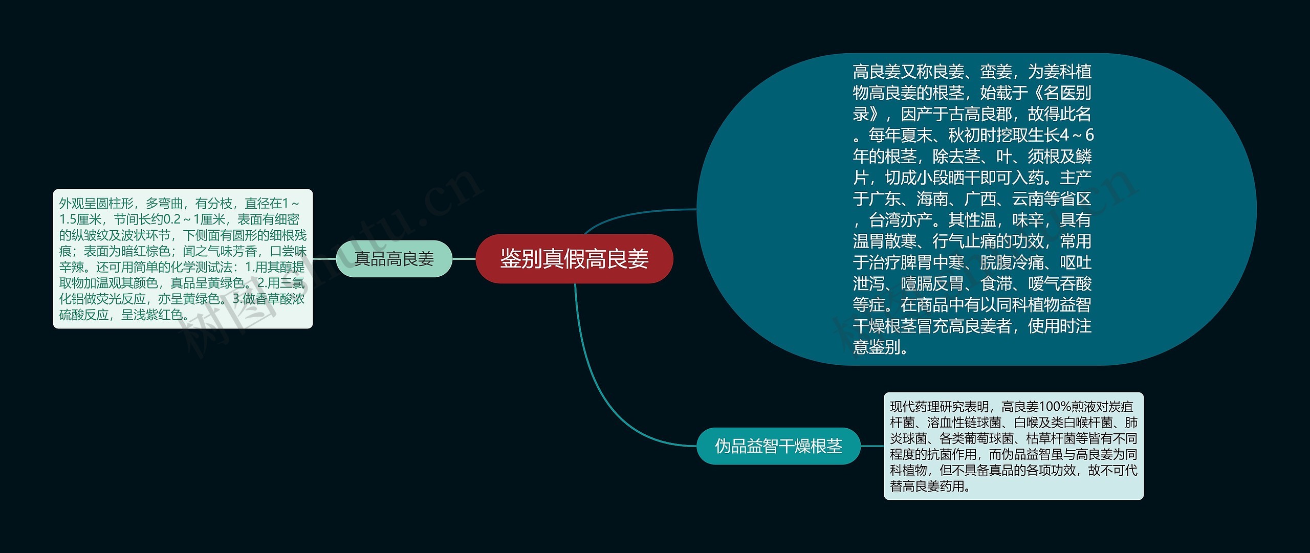 鉴别真假高良姜思维导图