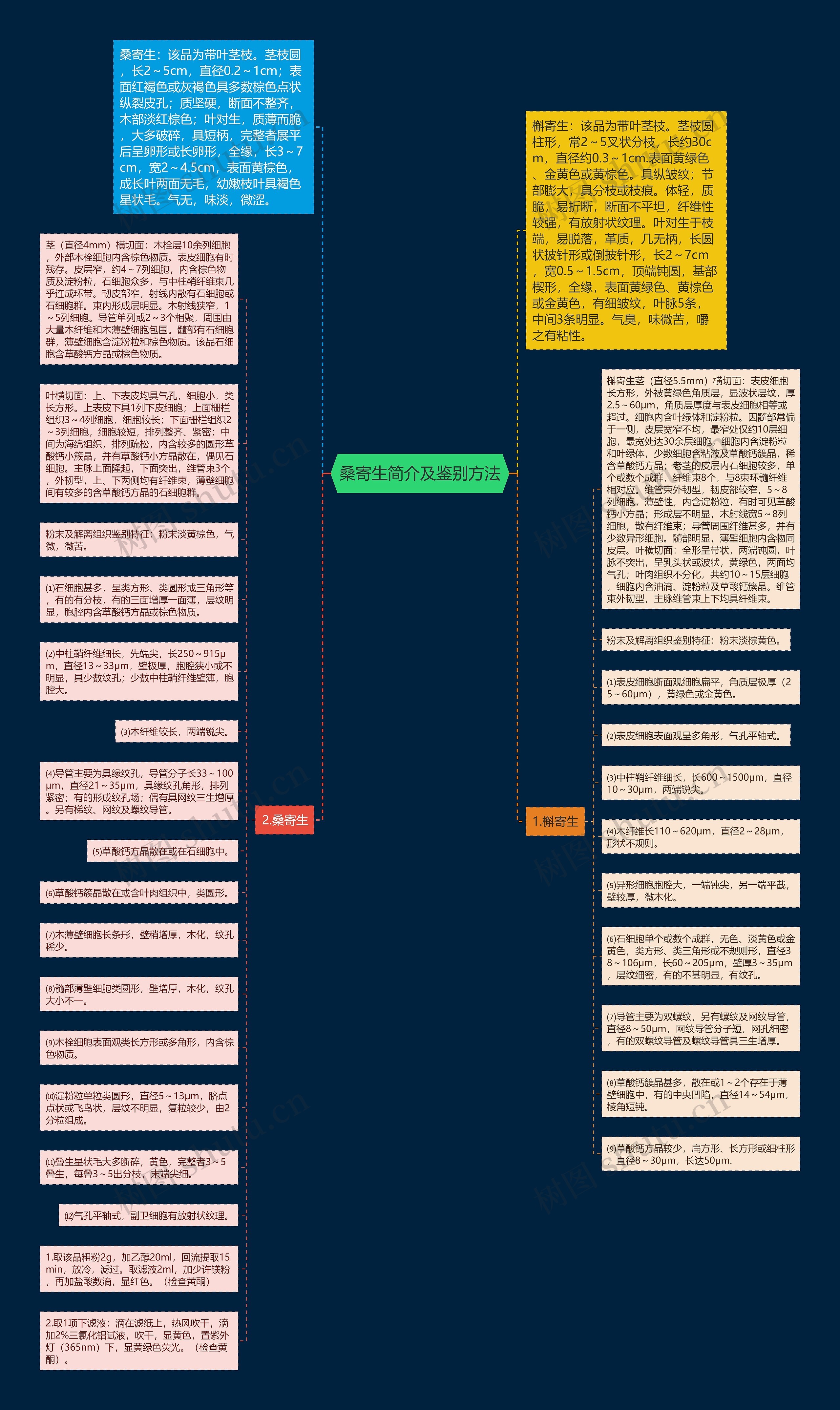 桑寄生简介及鉴别方法思维导图