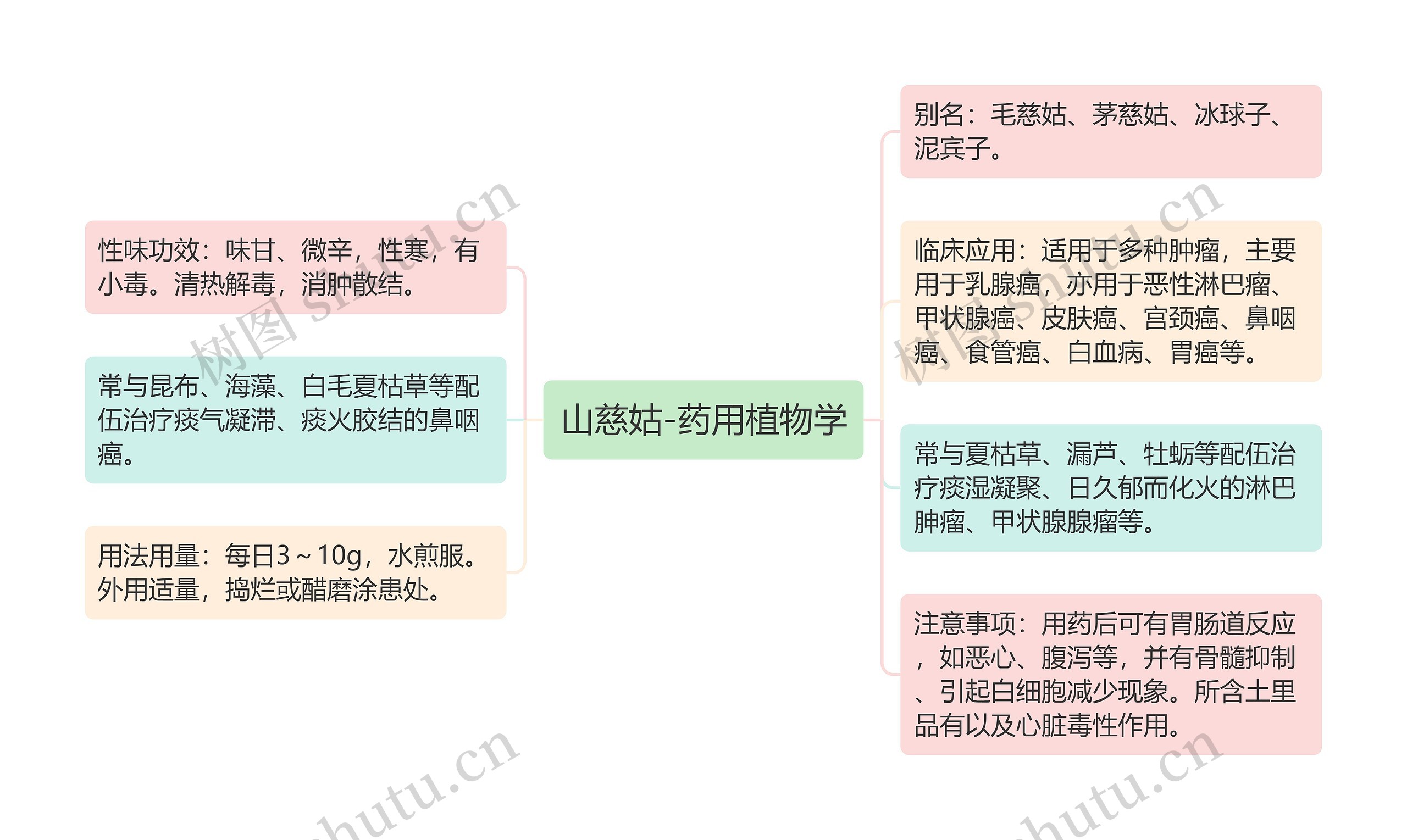 山慈姑-药用植物学思维导图