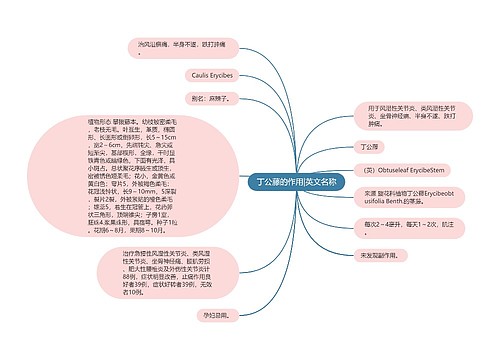丁公藤的作用|英文名称