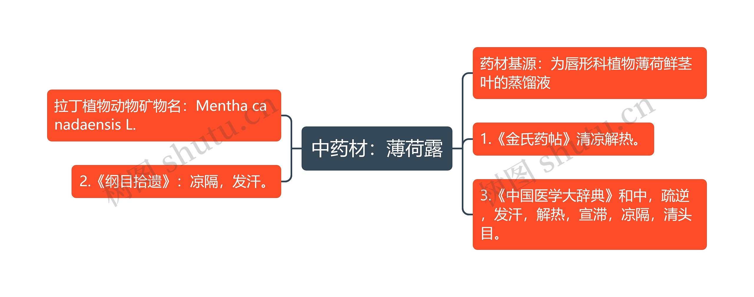 中药材：薄荷露思维导图