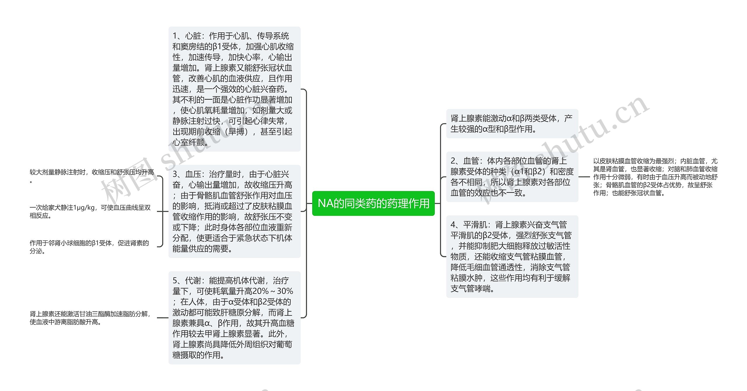 NA的同类药的药理作用