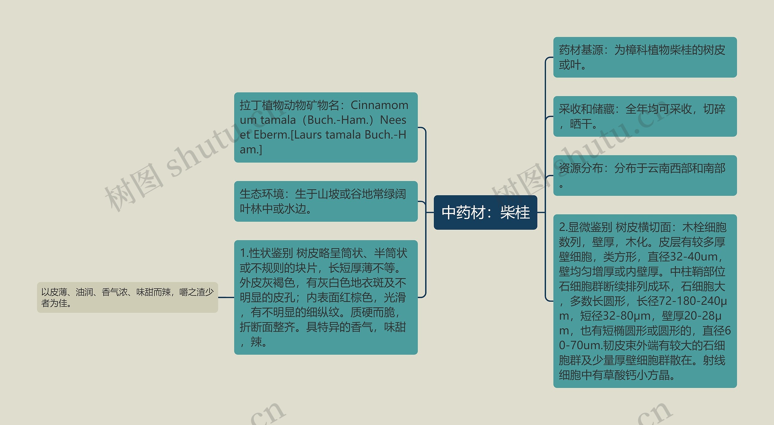 中药材：柴桂思维导图