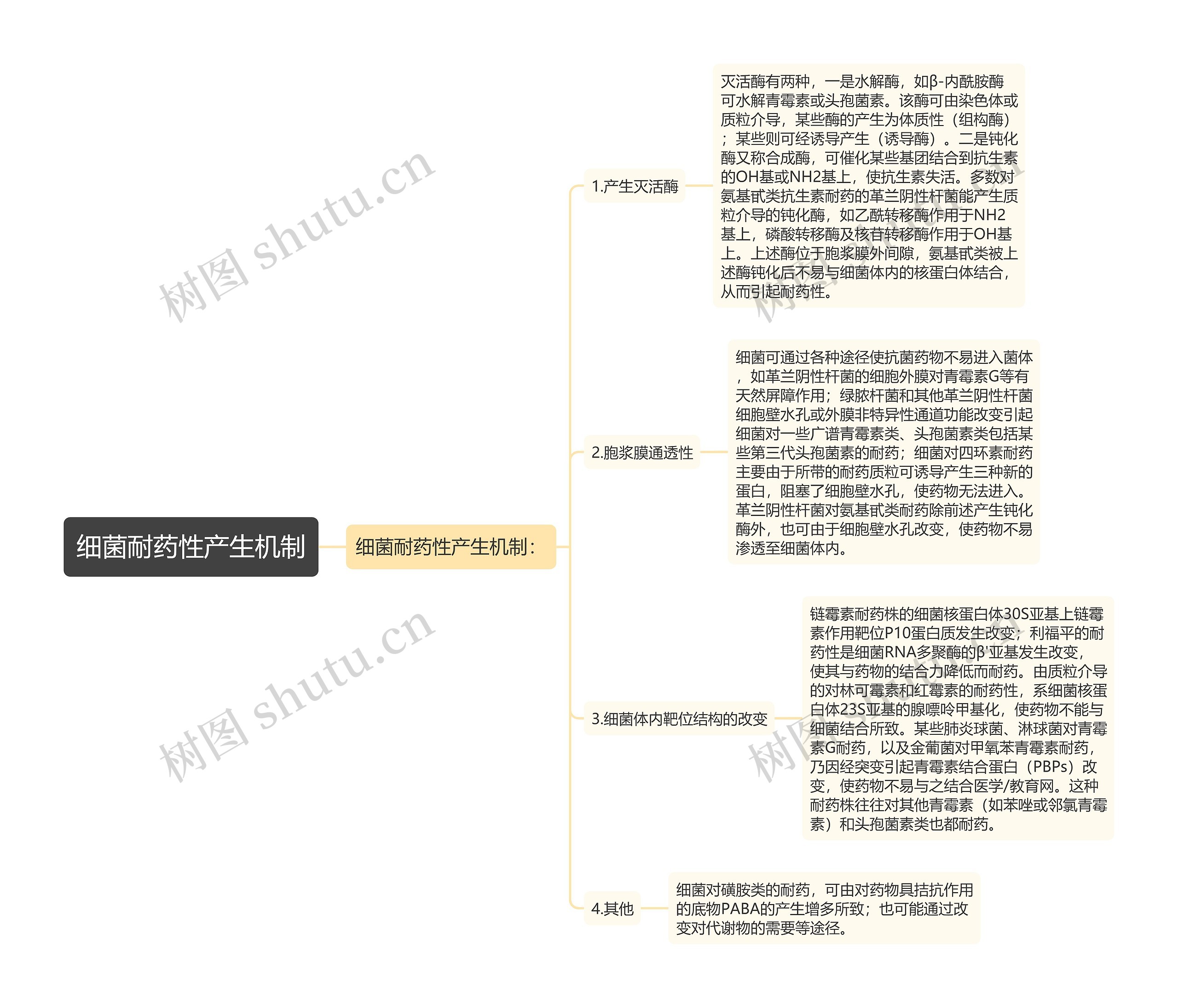 细菌耐药性产生机制思维导图