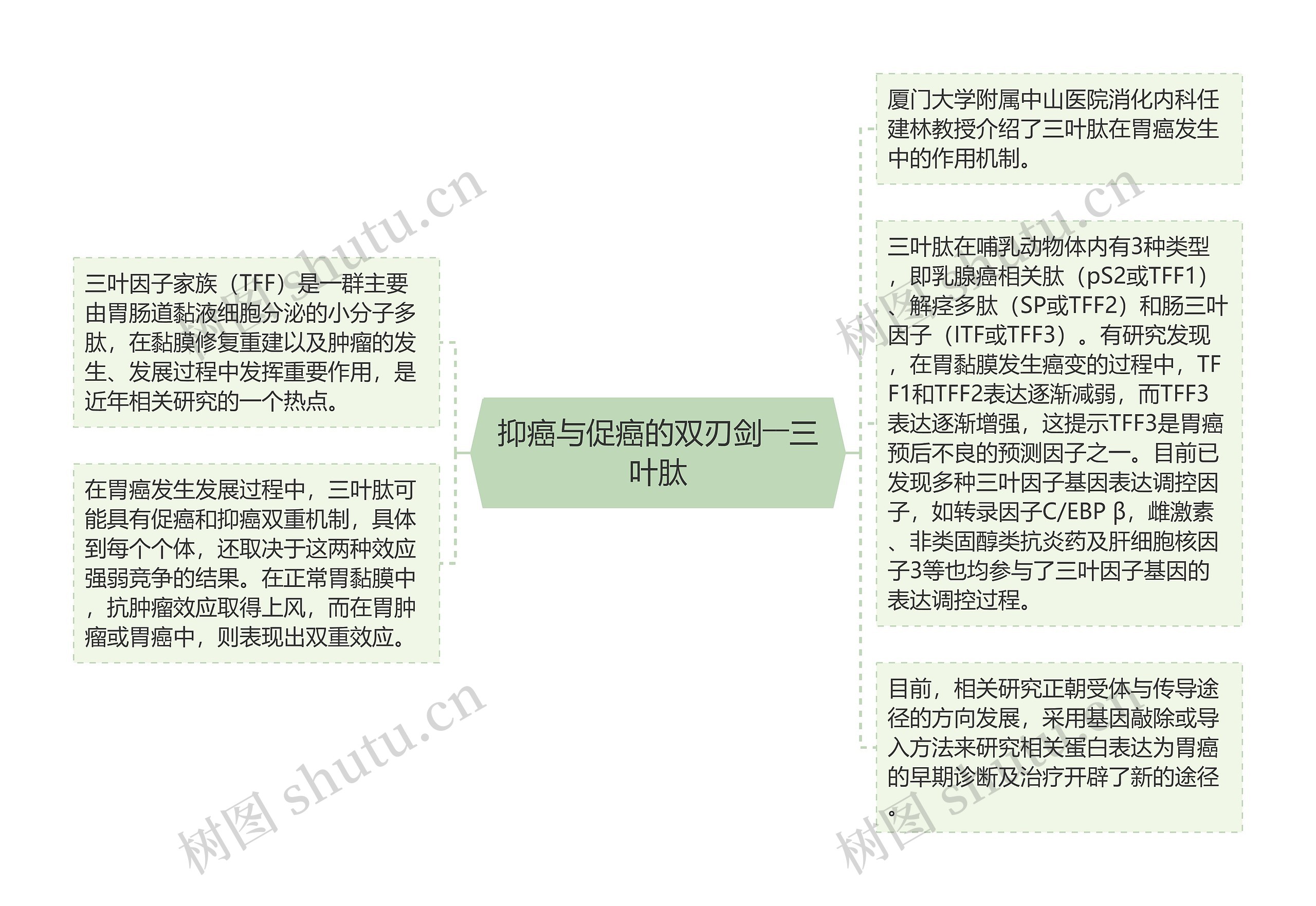 抑癌与促癌的双刃剑――三叶肽