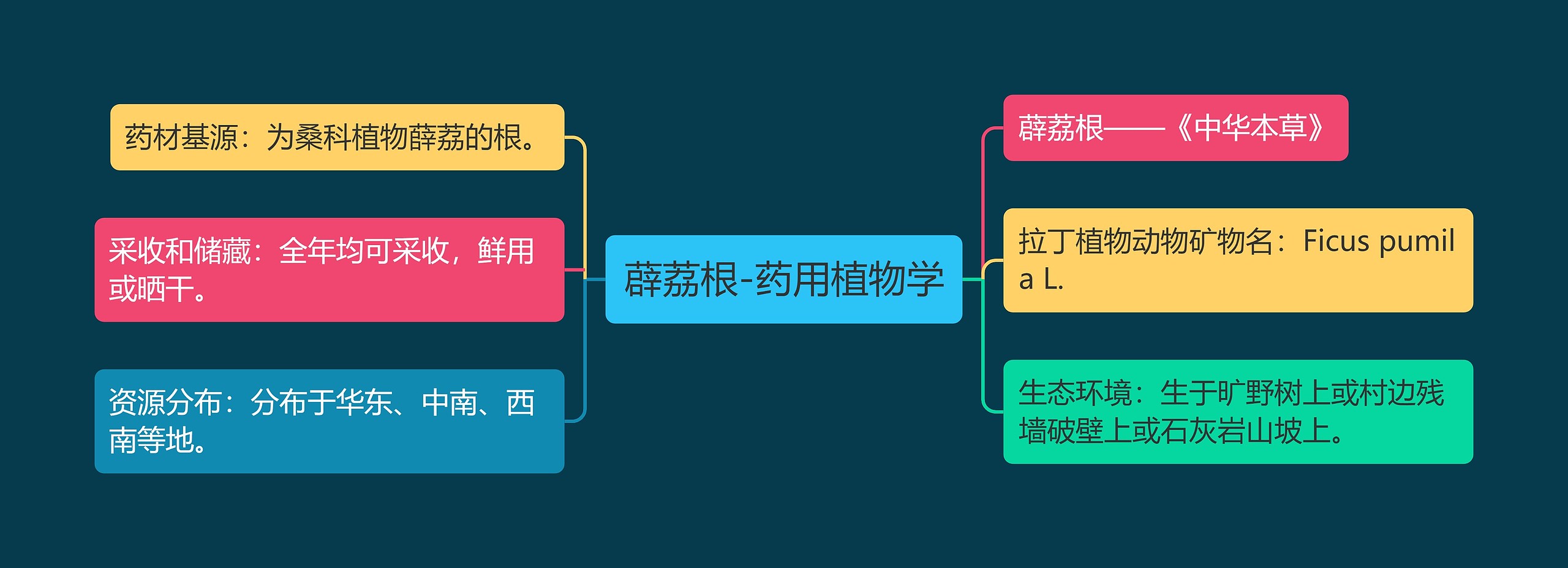 薜荔根-药用植物学 薜荔根-药用植物学