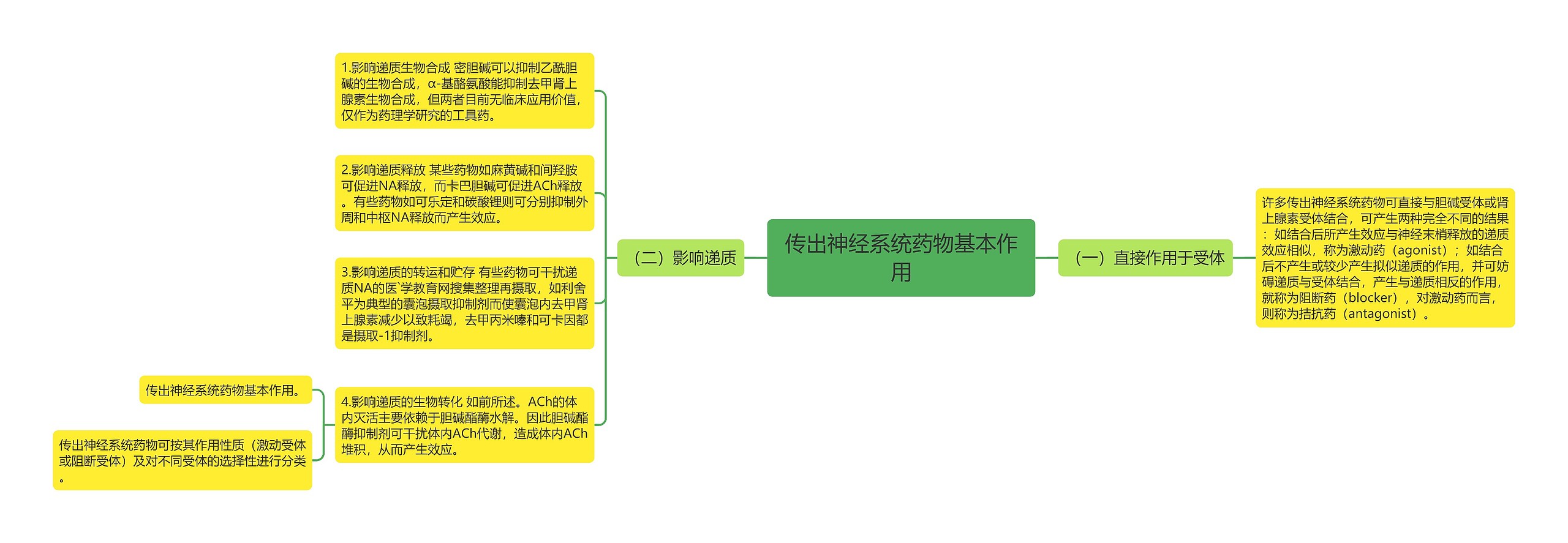 传出神经系统药物基本作用