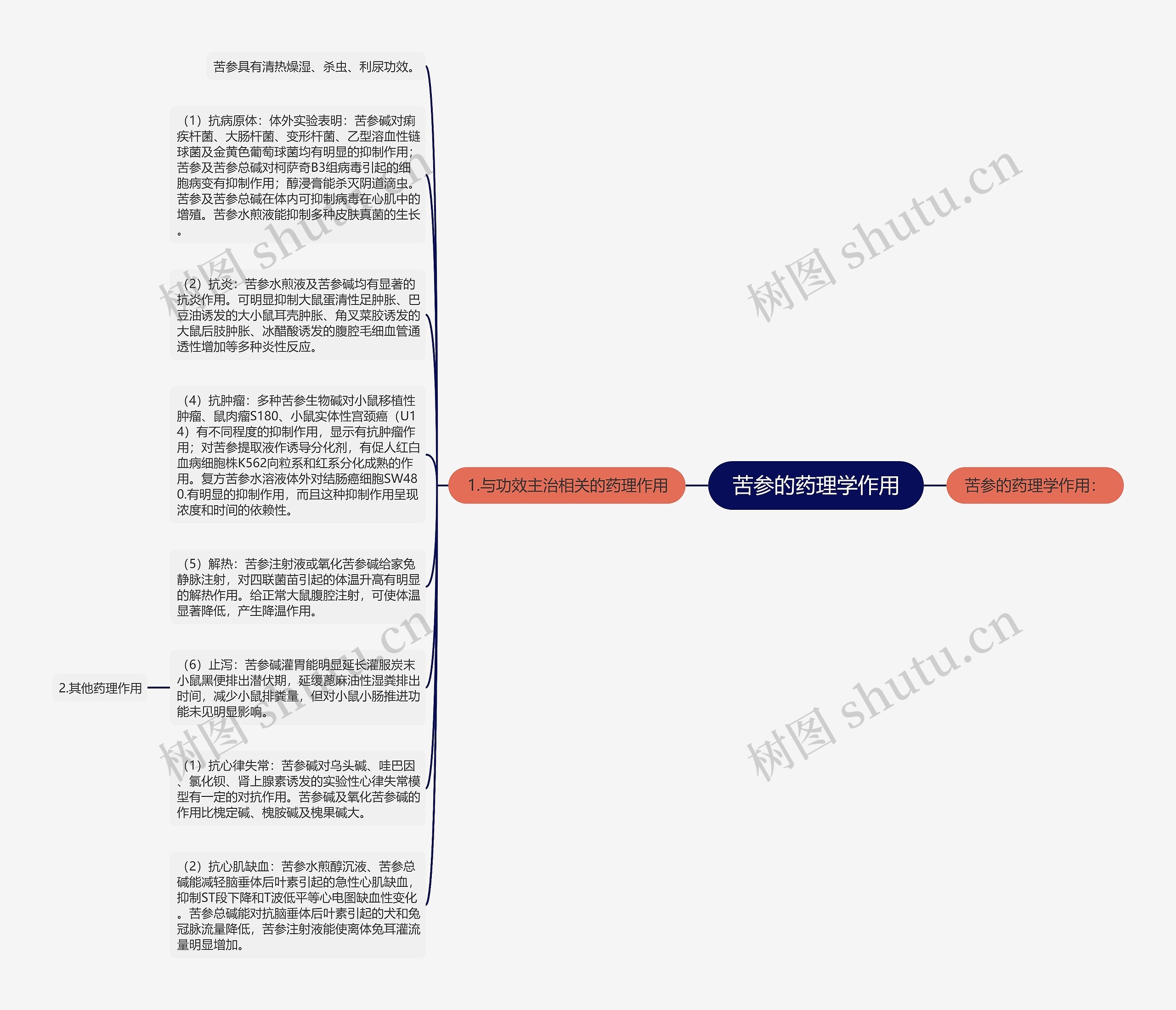 苦参的药理学作用思维导图