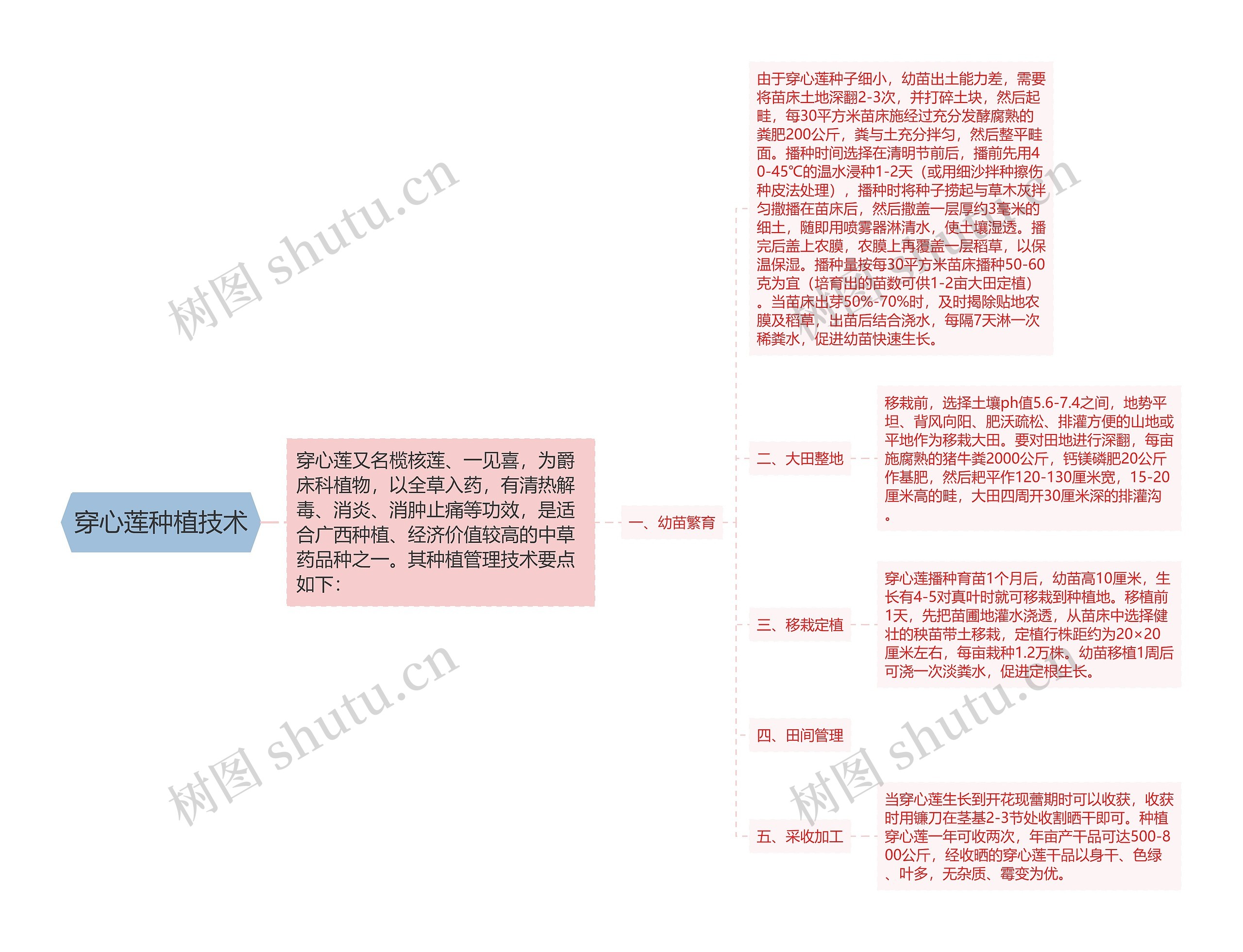 穿心莲种植技术思维导图