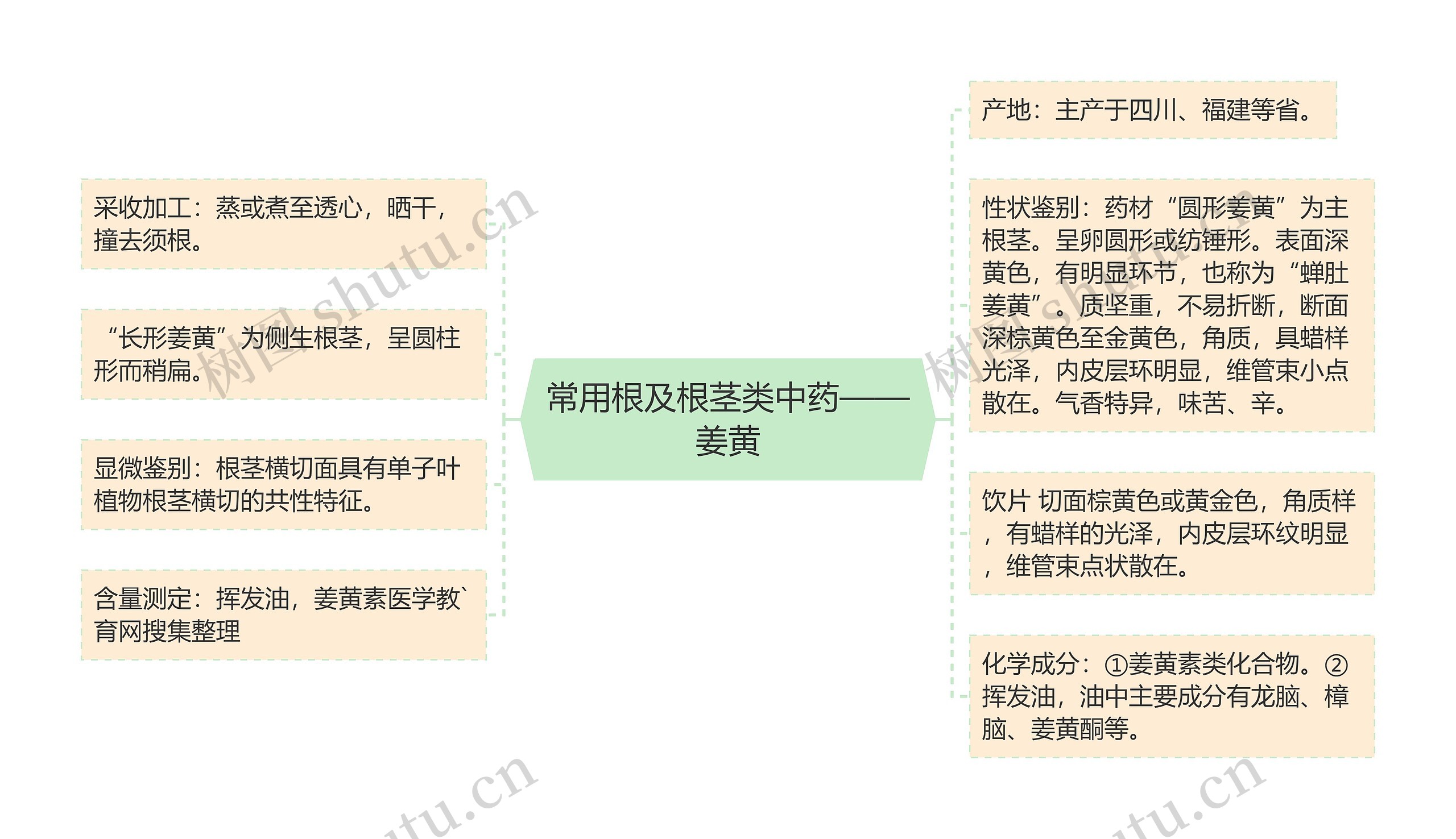 常用根及根茎类中药——姜黄思维导图