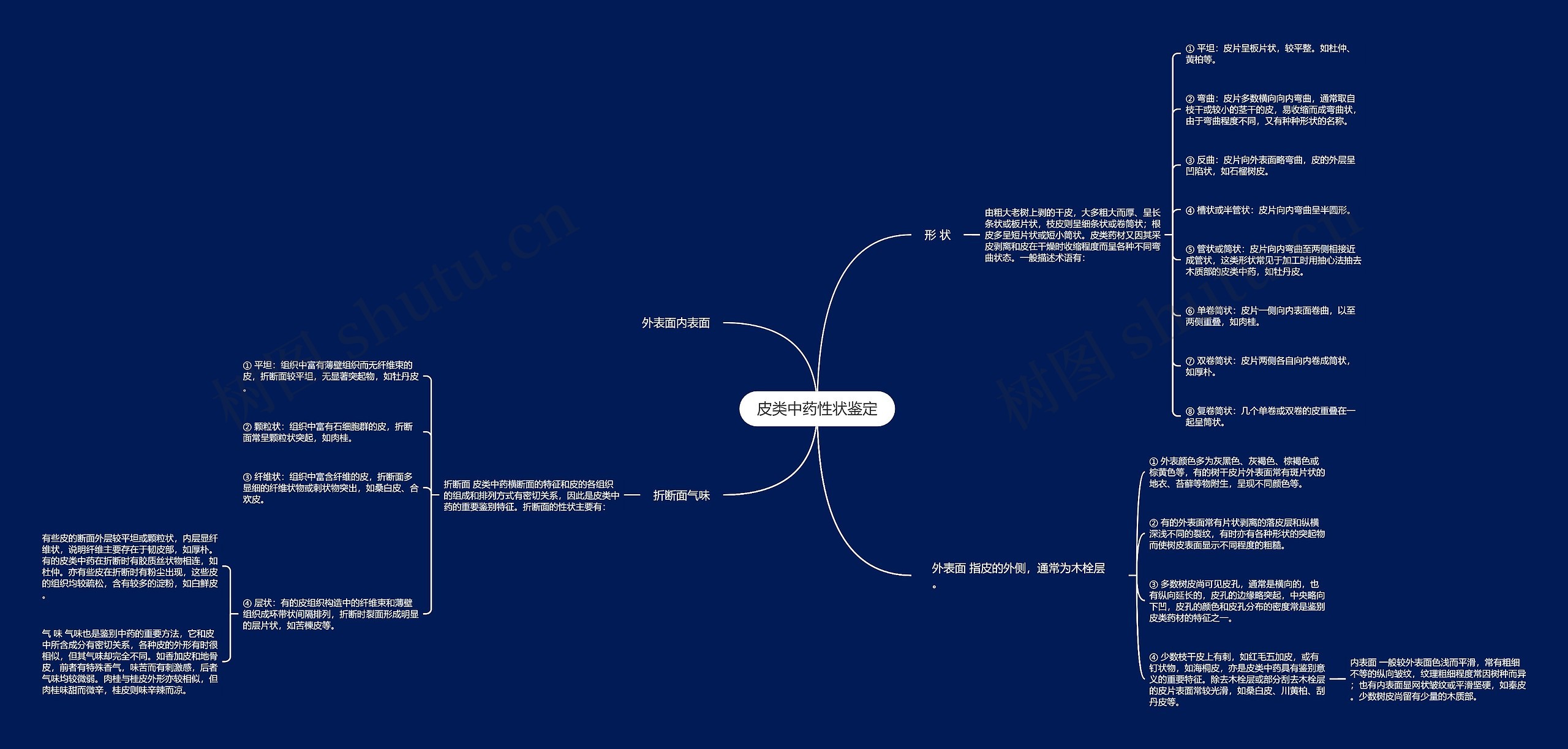 皮类中药性状鉴定思维导图