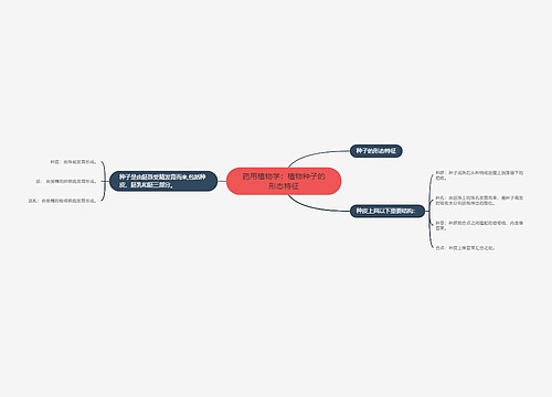 药用植物学：植物种子的形态特征