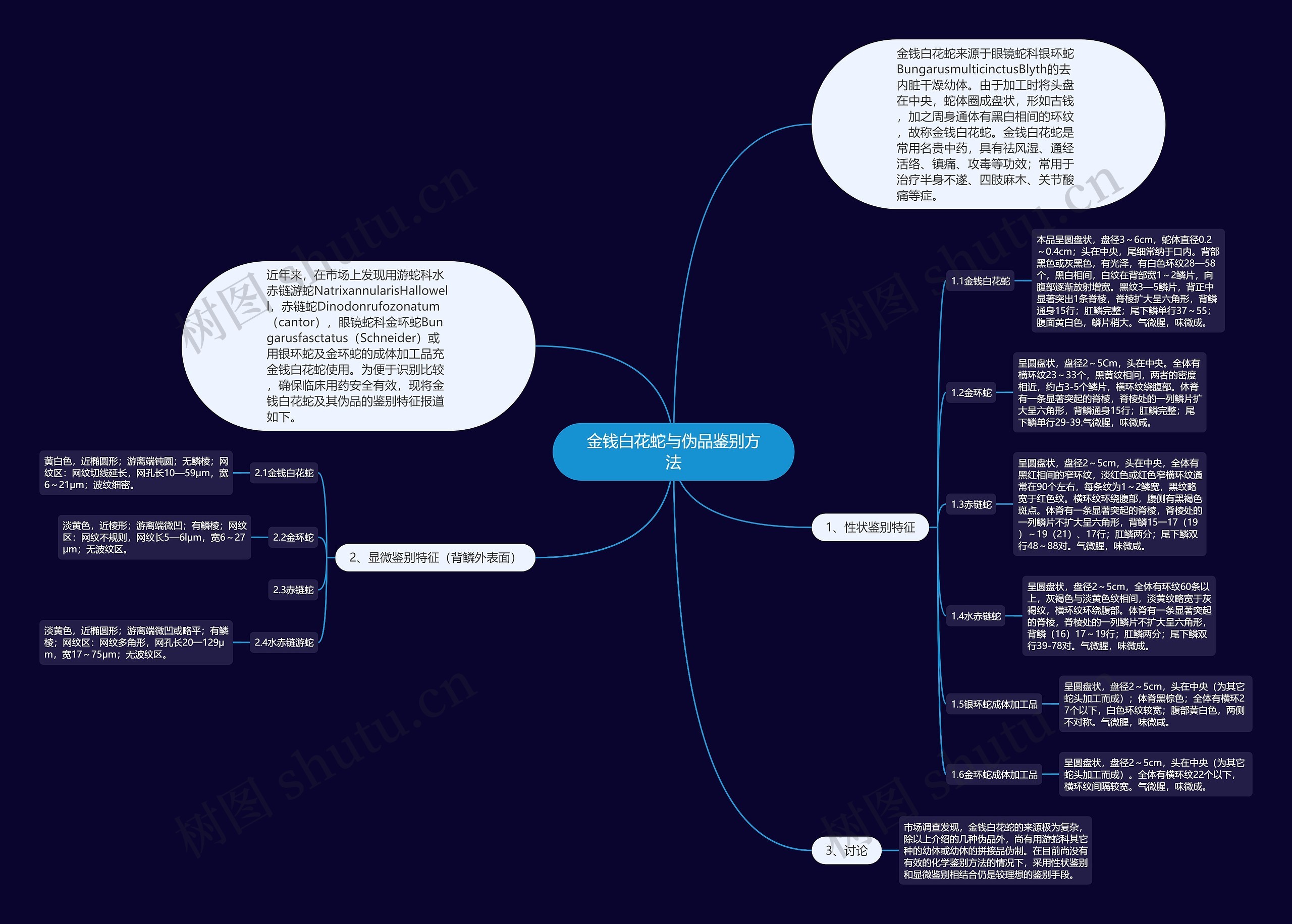 金钱白花蛇与伪品鉴别方法思维导图