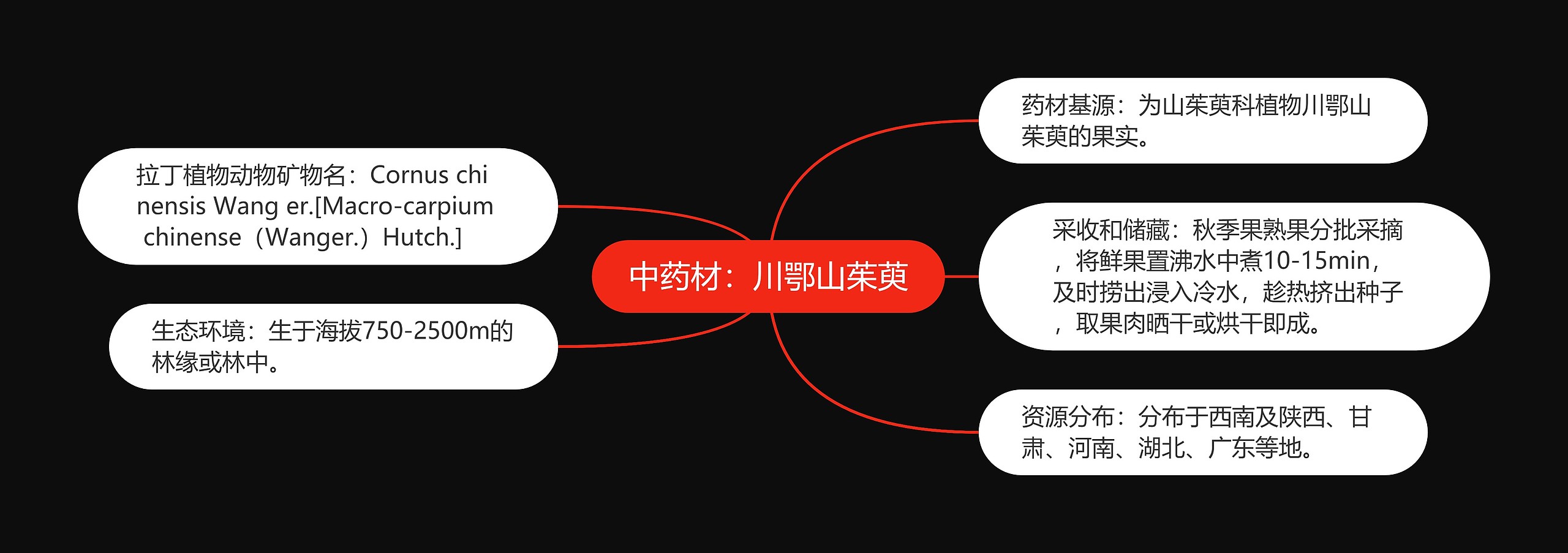 中药材：川鄂山茱萸思维导图