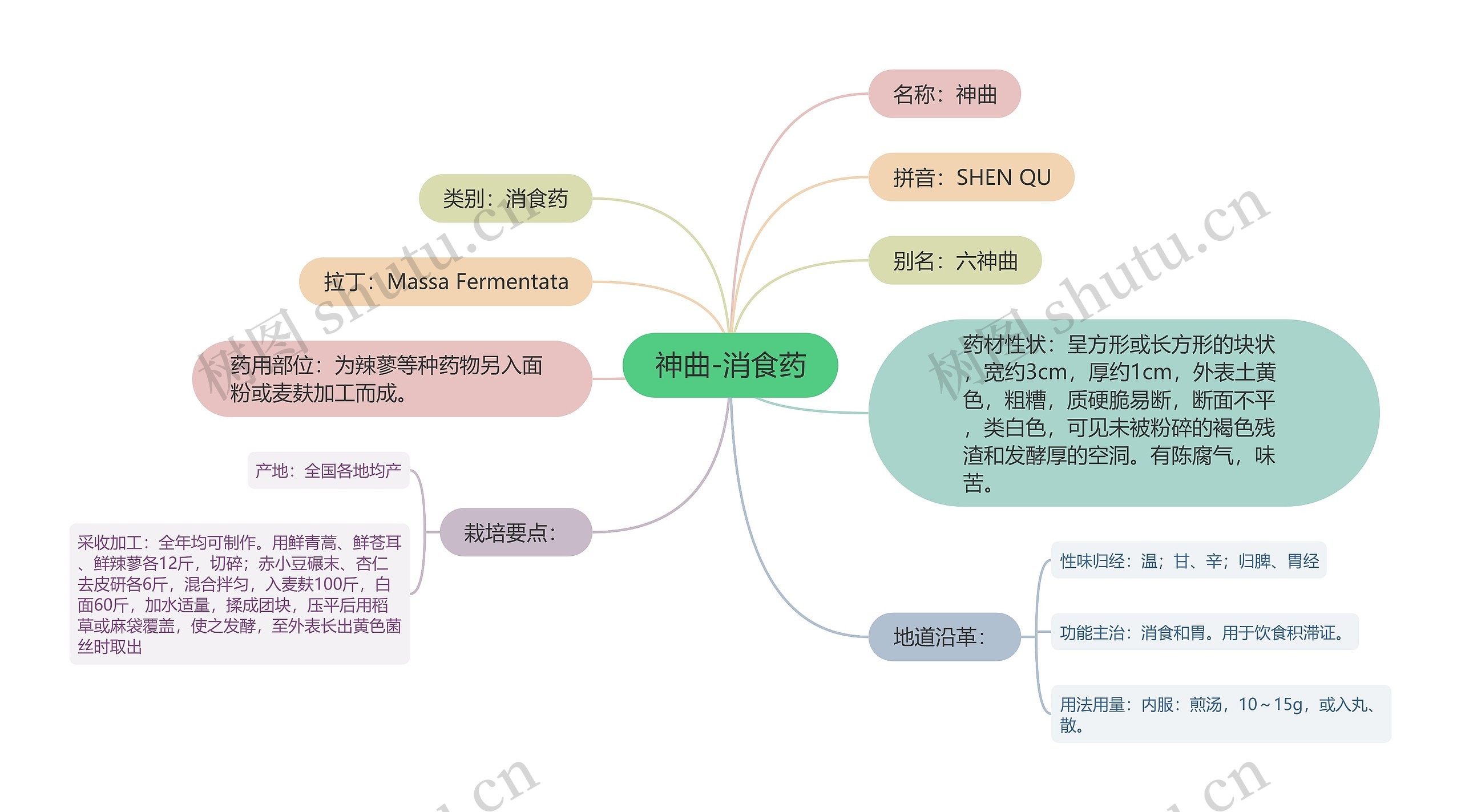 神曲-消食药思维导图