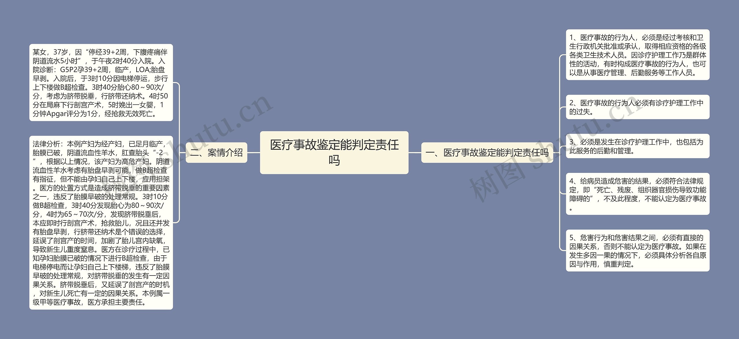 医疗事故鉴定能判定责任吗思维导图