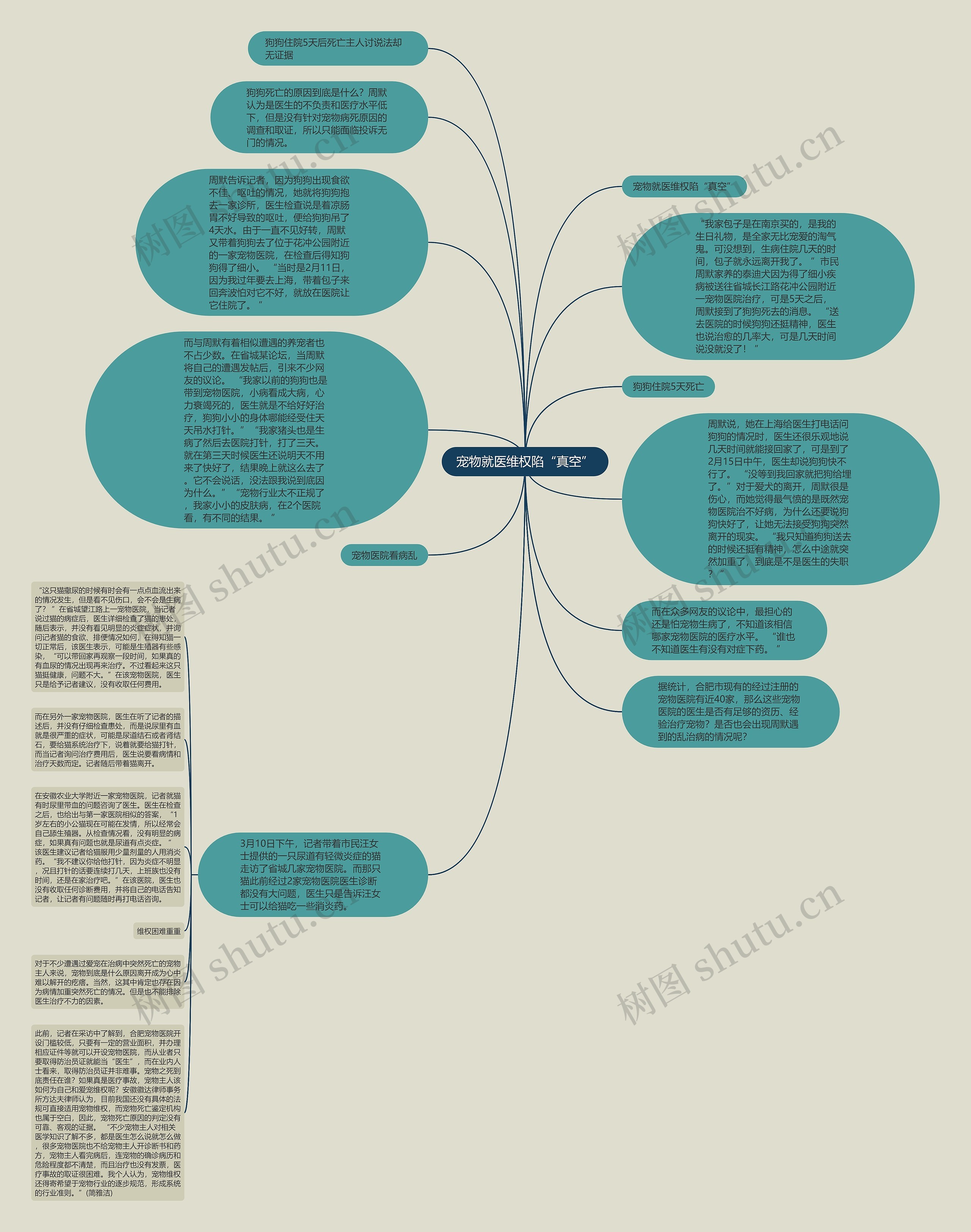 宠物就医维权陷“真空”思维导图