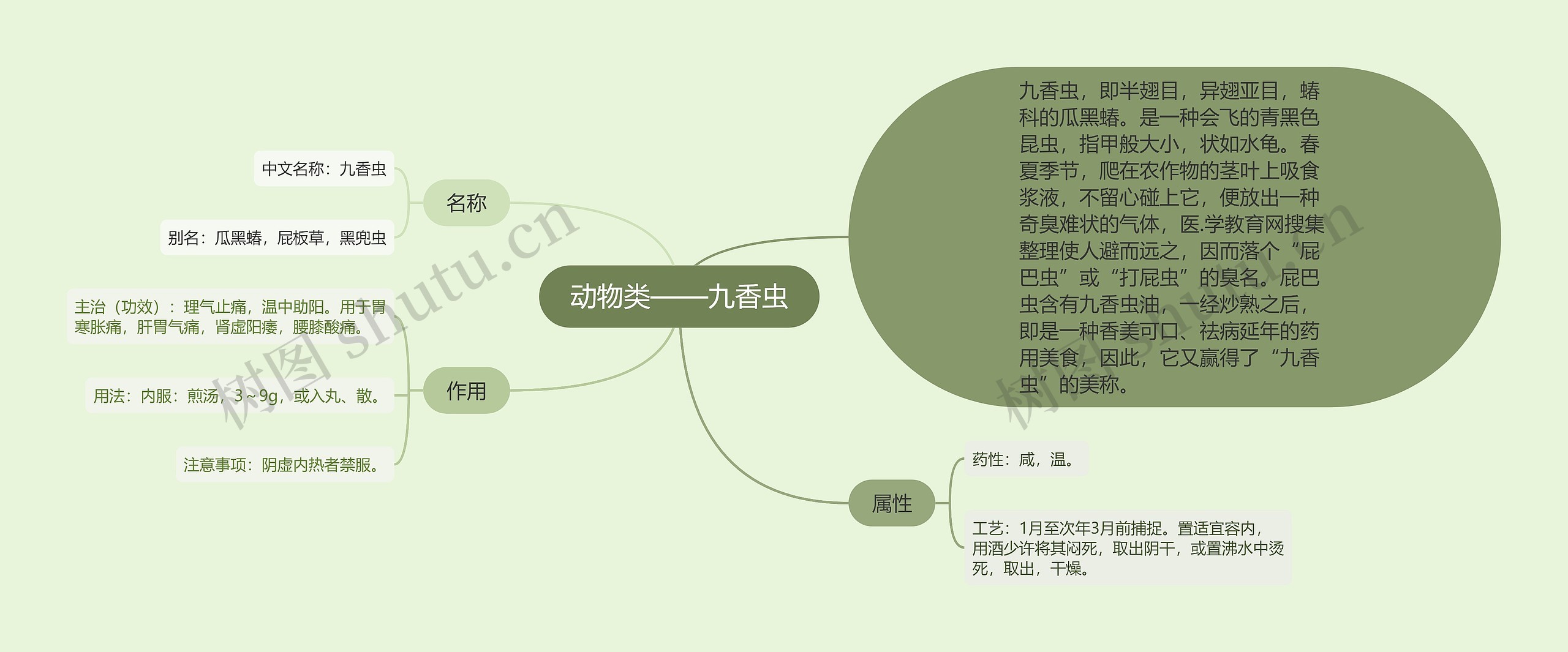 动物类——九香虫