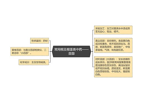 常用根及根茎类中药——百部