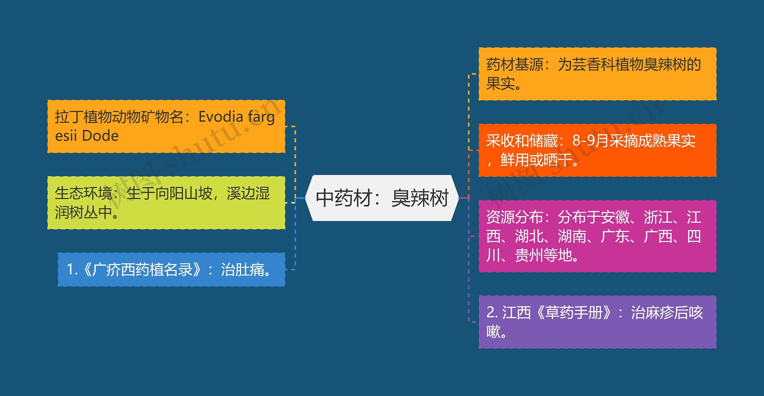 中药材:臭辣树 中药材:臭辣树