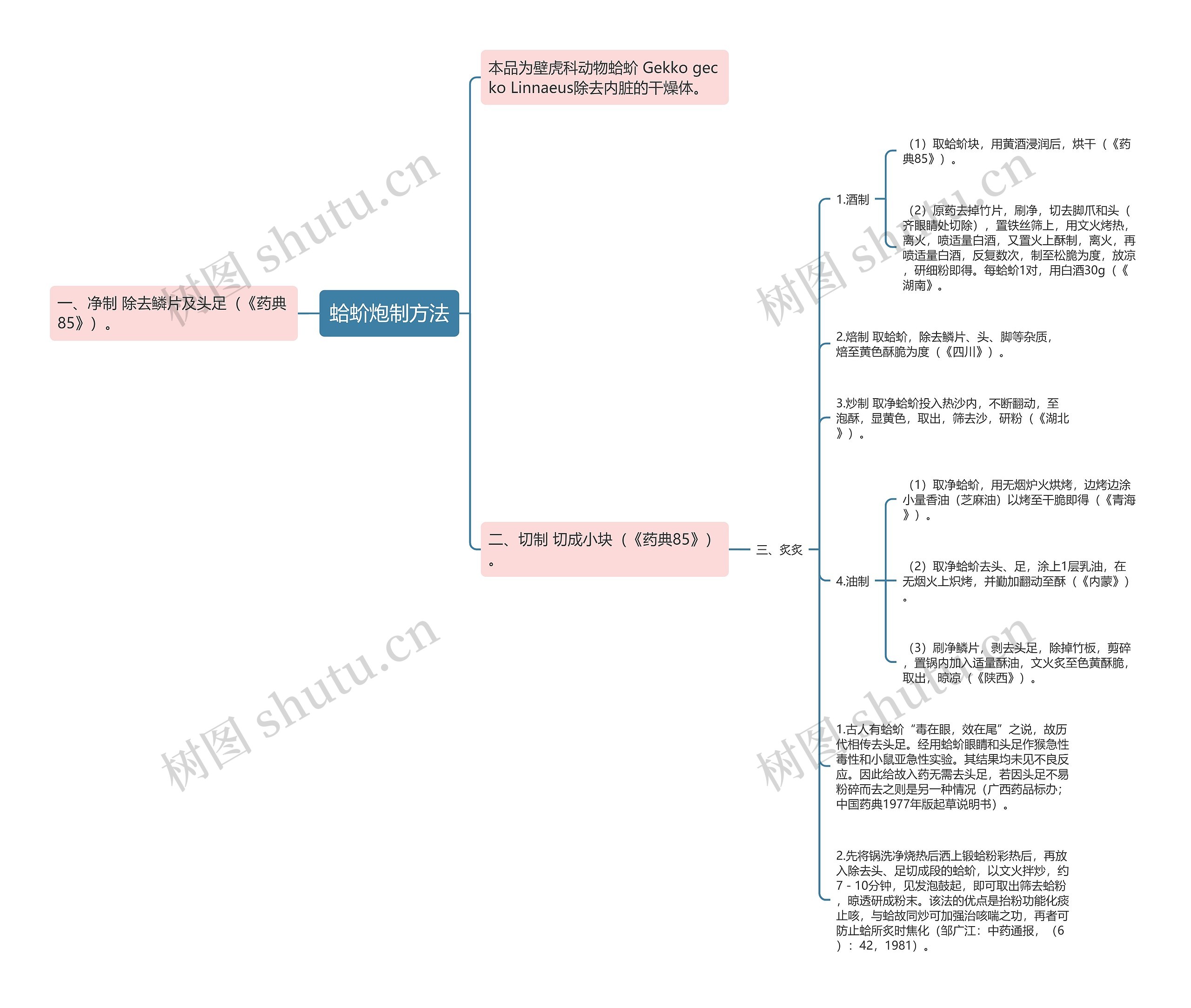 蛤蚧炮制方法思维导图