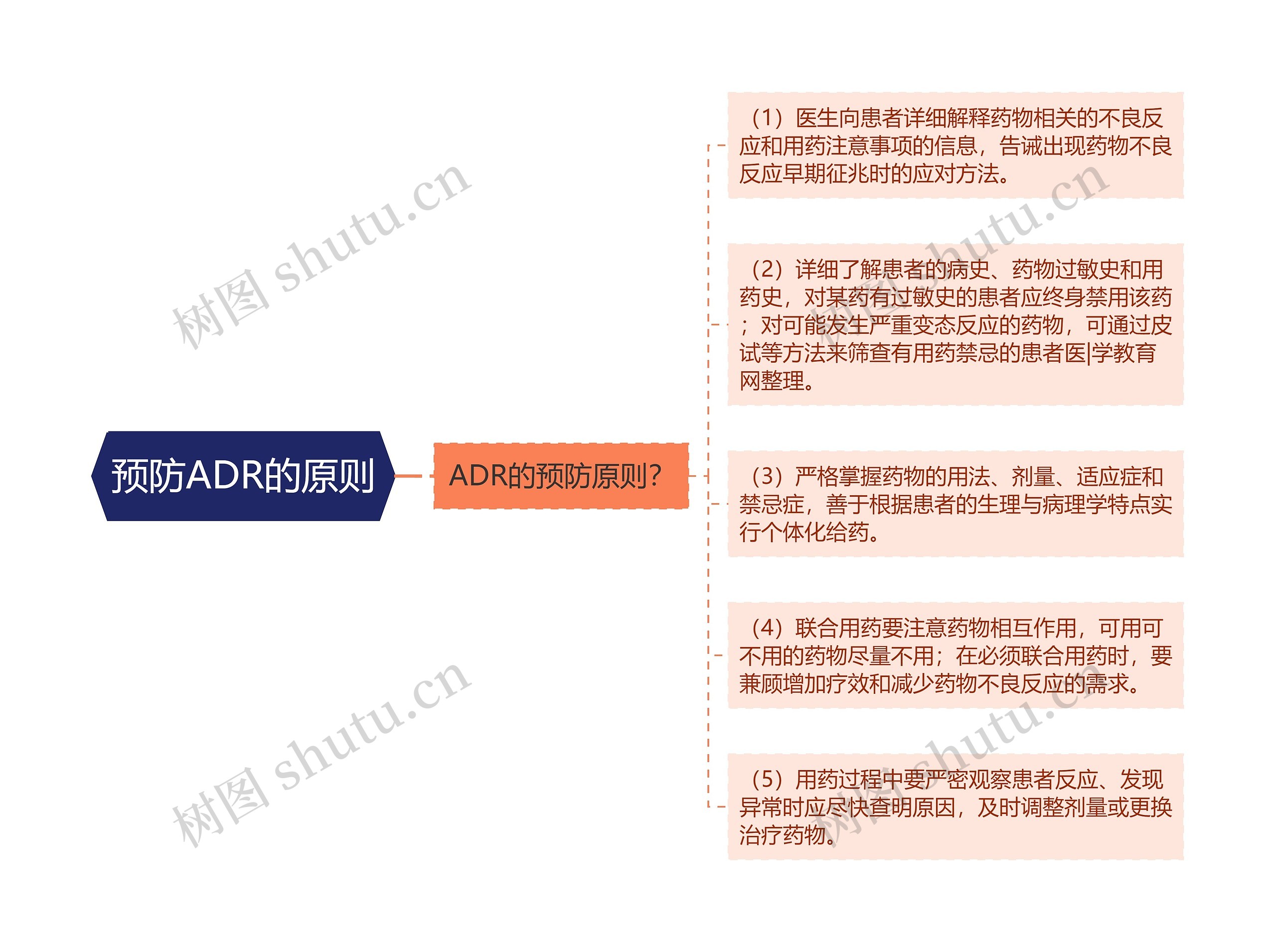 预防ADR的原则思维导图