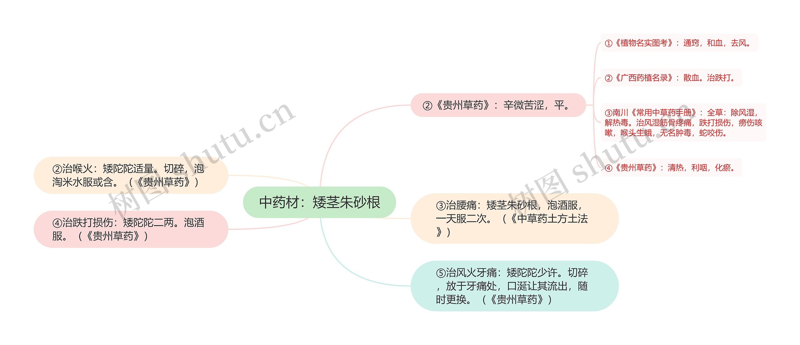 中药材：矮茎朱砂根思维导图