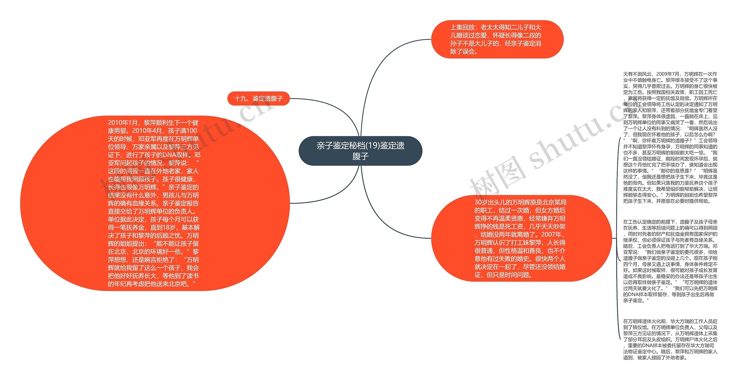 亲子鉴定秘档(19)鉴定遗腹子思维导图