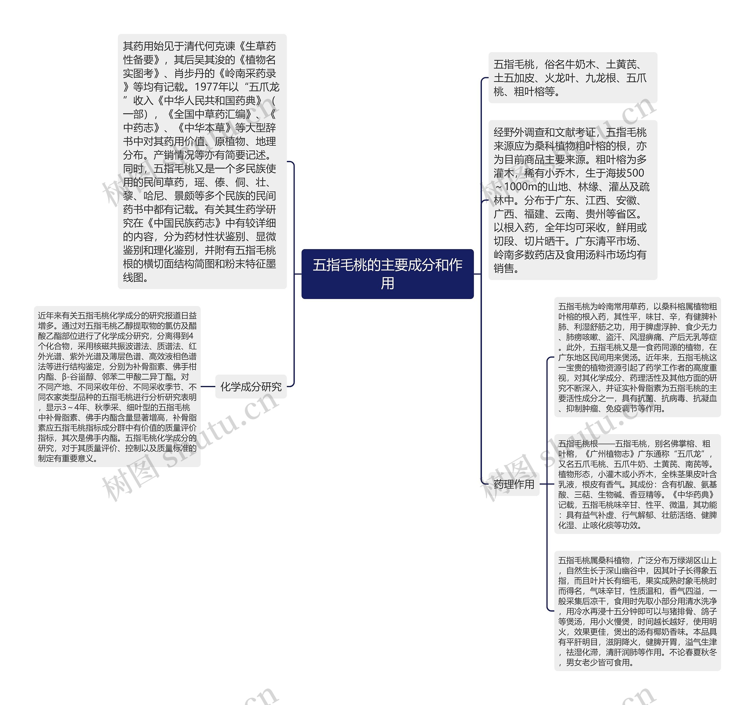 五指毛桃的主要成分和作用思维导图