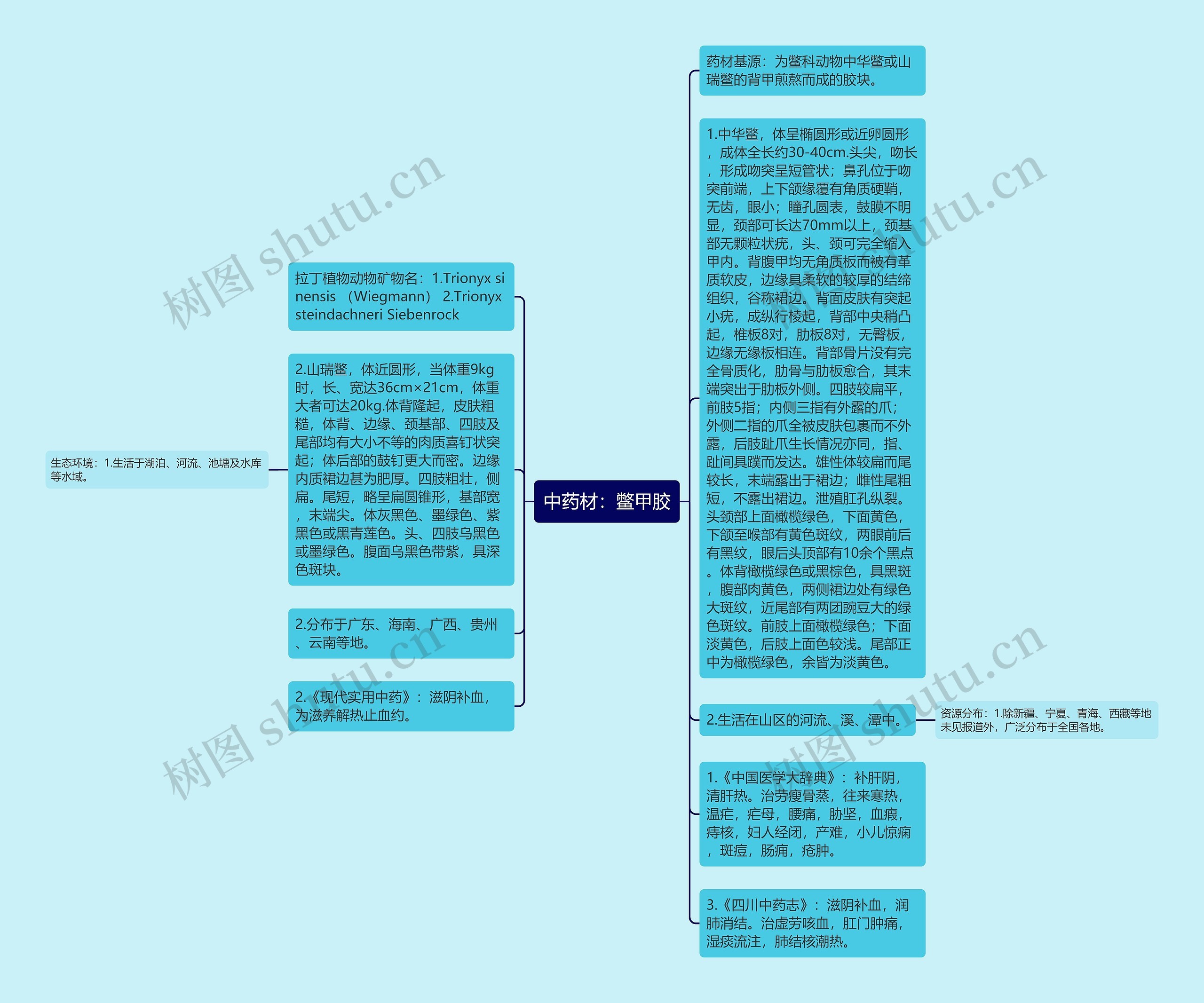 中药材：鳖甲胶思维导图
