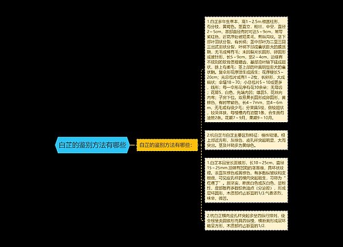 白芷的鉴别方法有哪些